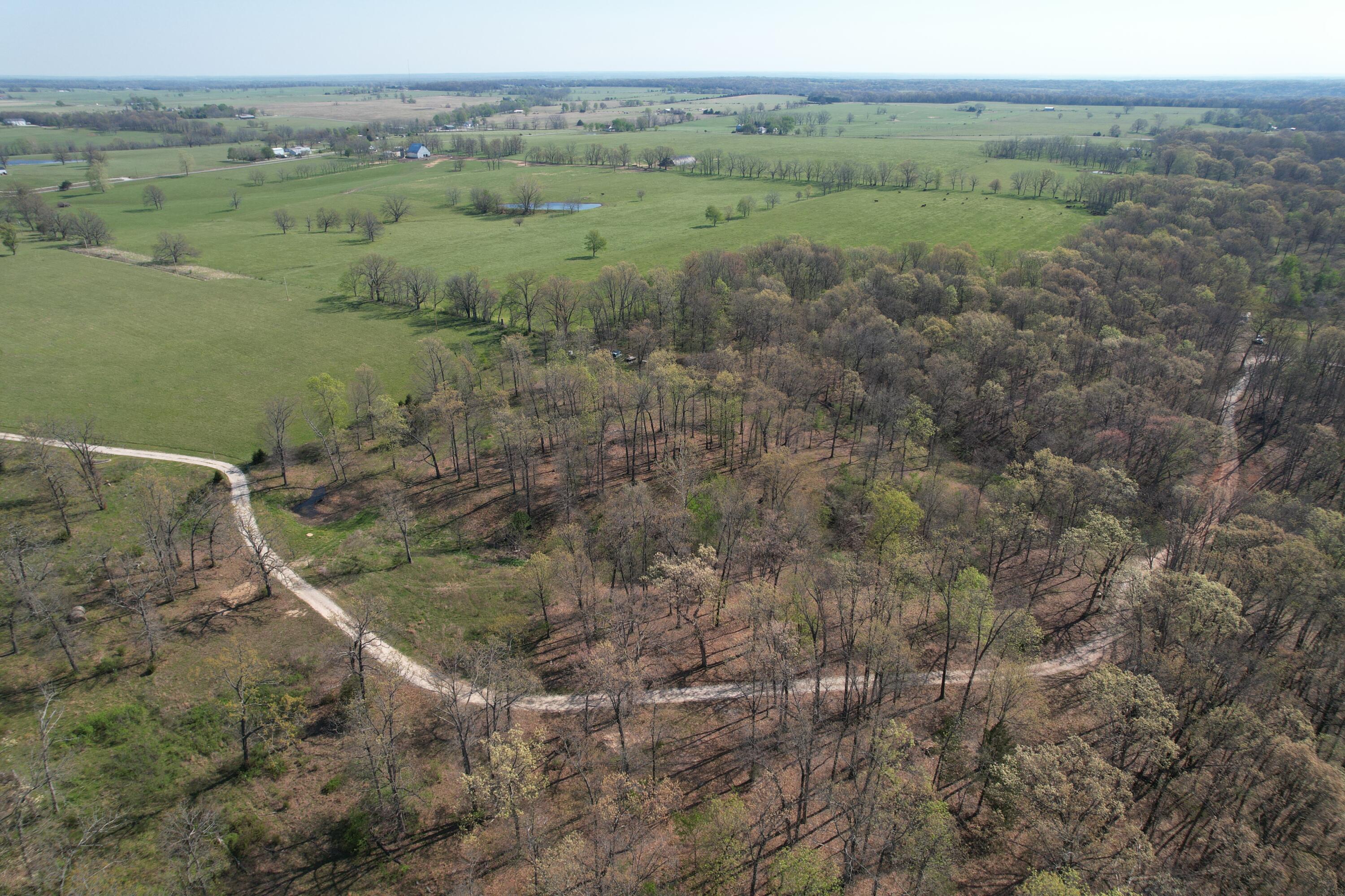 Tract 4 0000 Private Road 1184 Property Photo 11