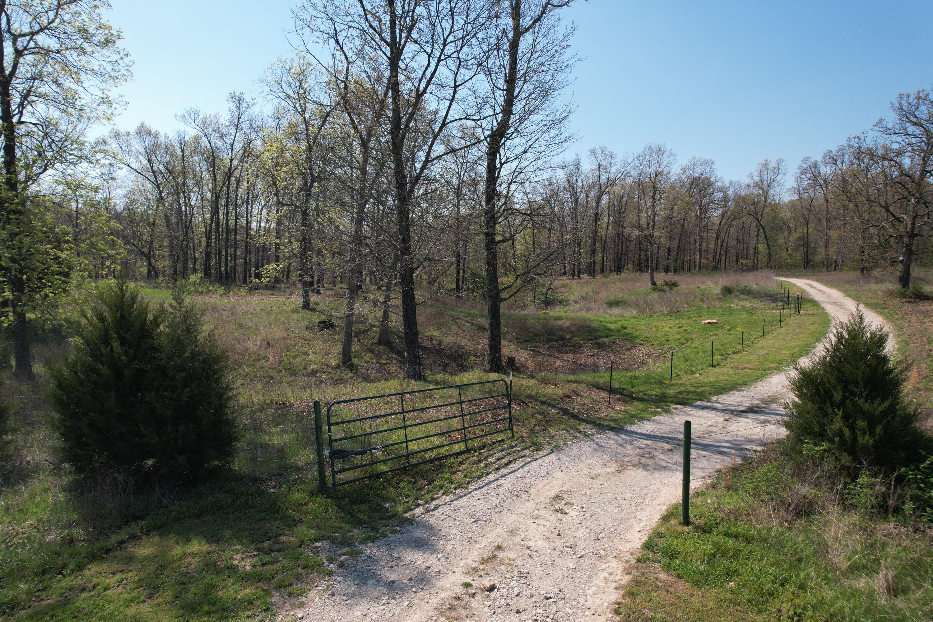 Tract 4 0000 Private Road 1184 Property Photo 14