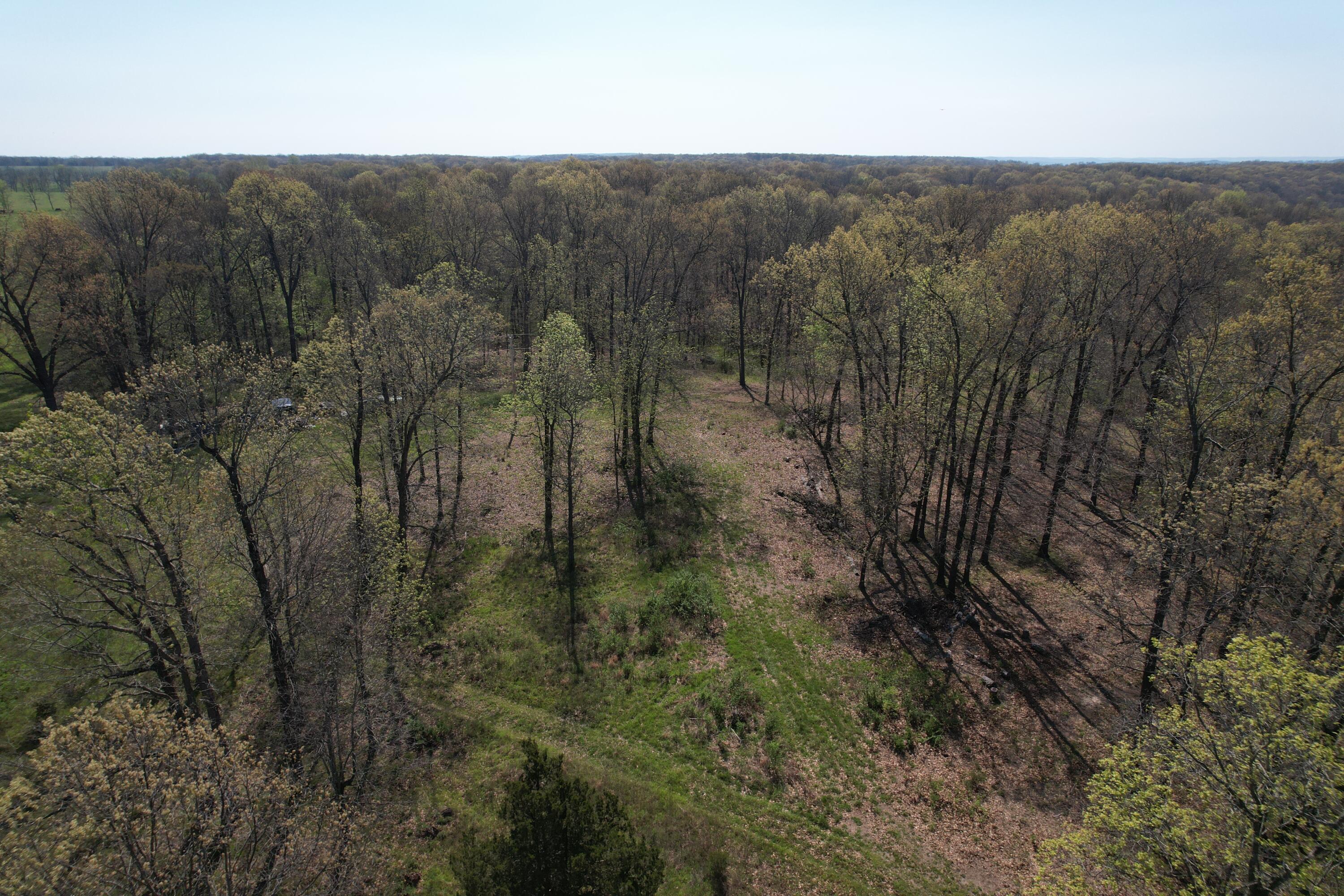 Tract 4 0000 Private Road 1184 Property Photo 16