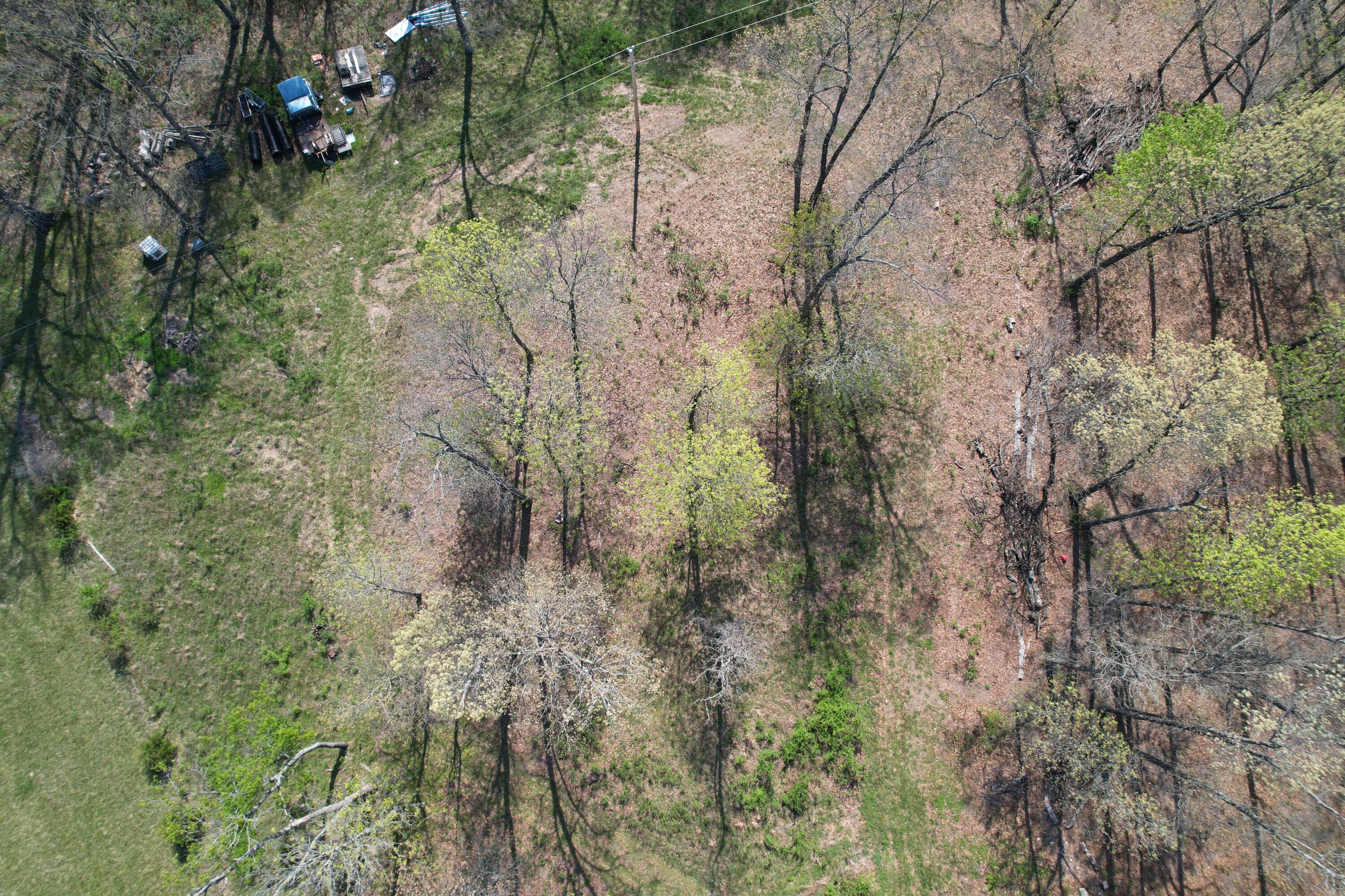 Tract 4 0000 Private Road 1184 Property Photo 17