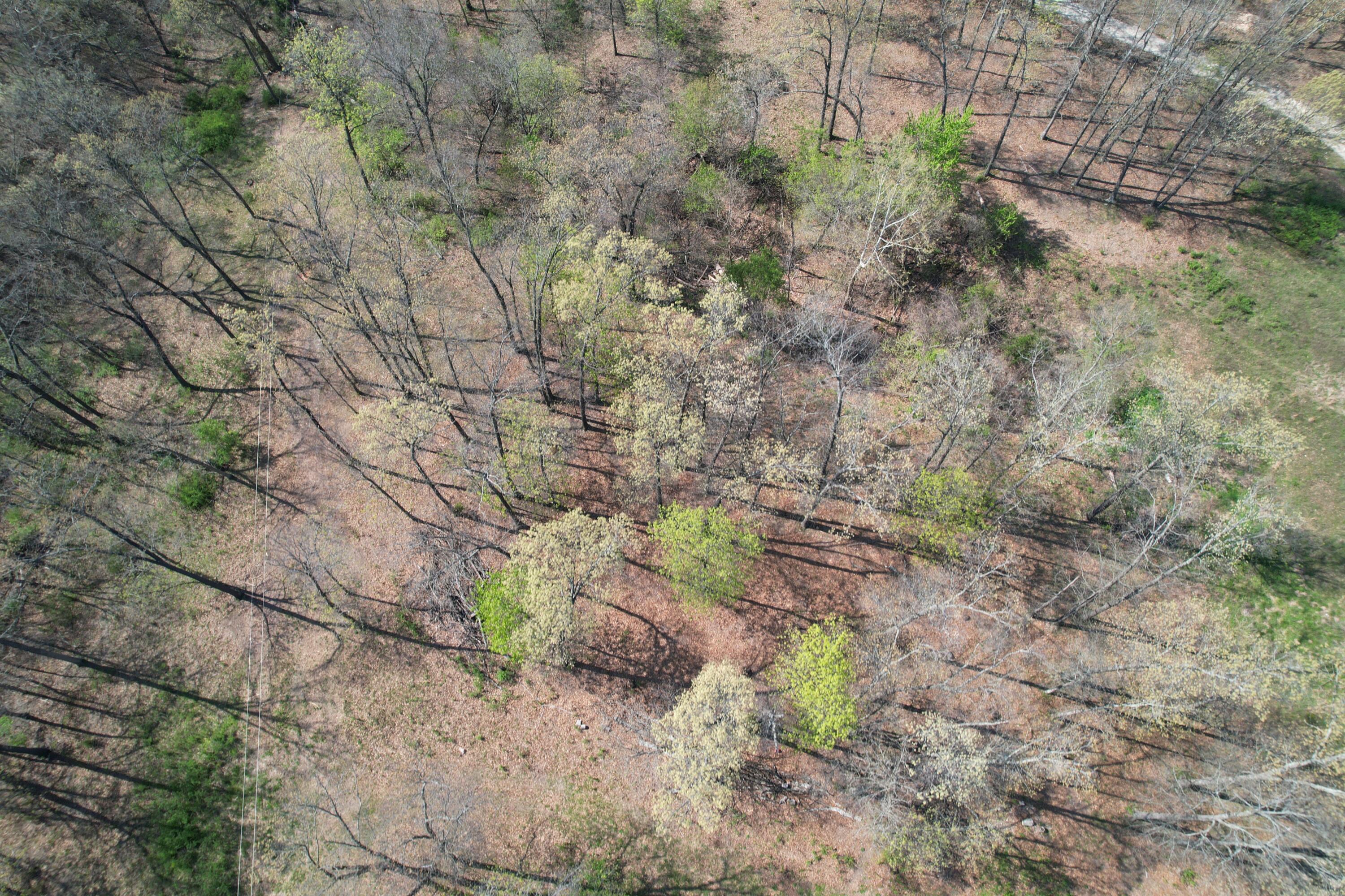 Tract 4 0000 Private Road 1184 Property Photo 18
