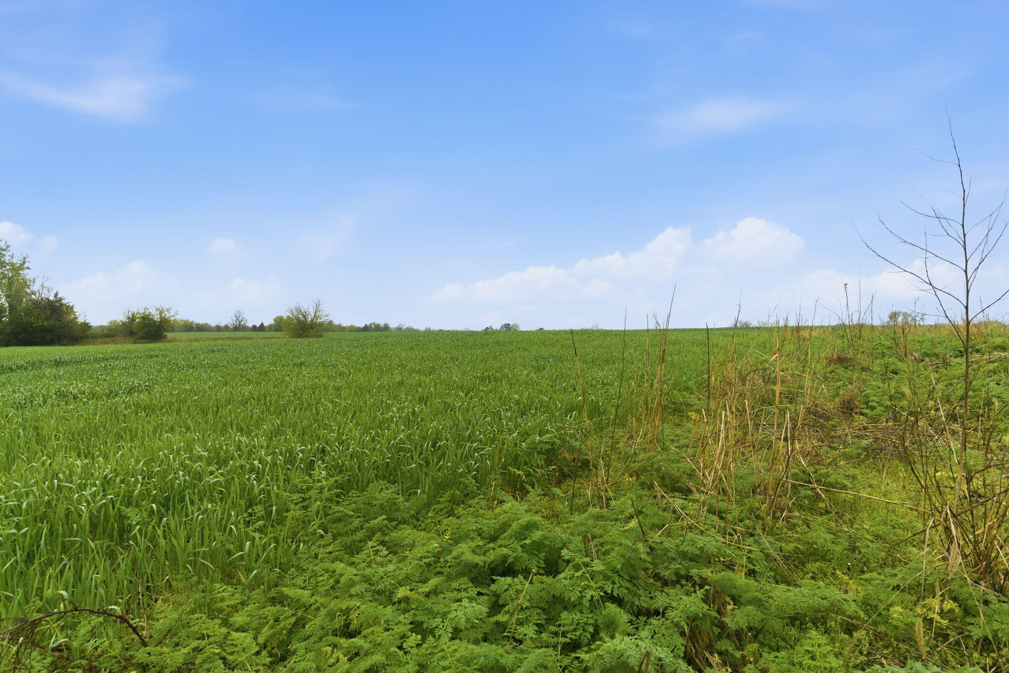 Lot 5 Lawrence 2160 Property Photo 1
