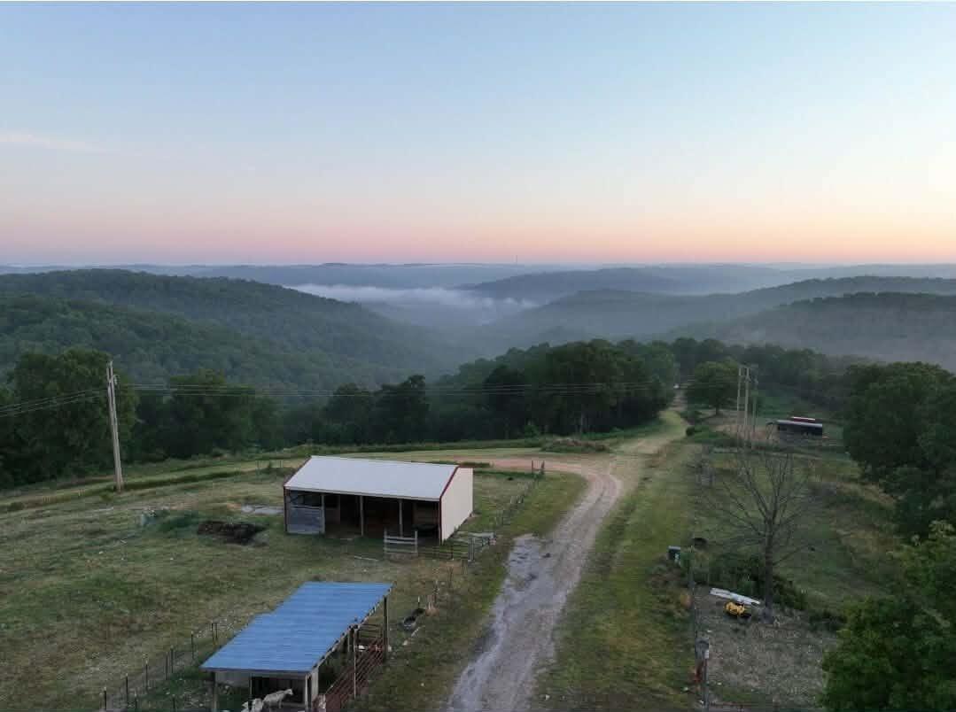 311 Tipton Mountain Road Property Photo 3