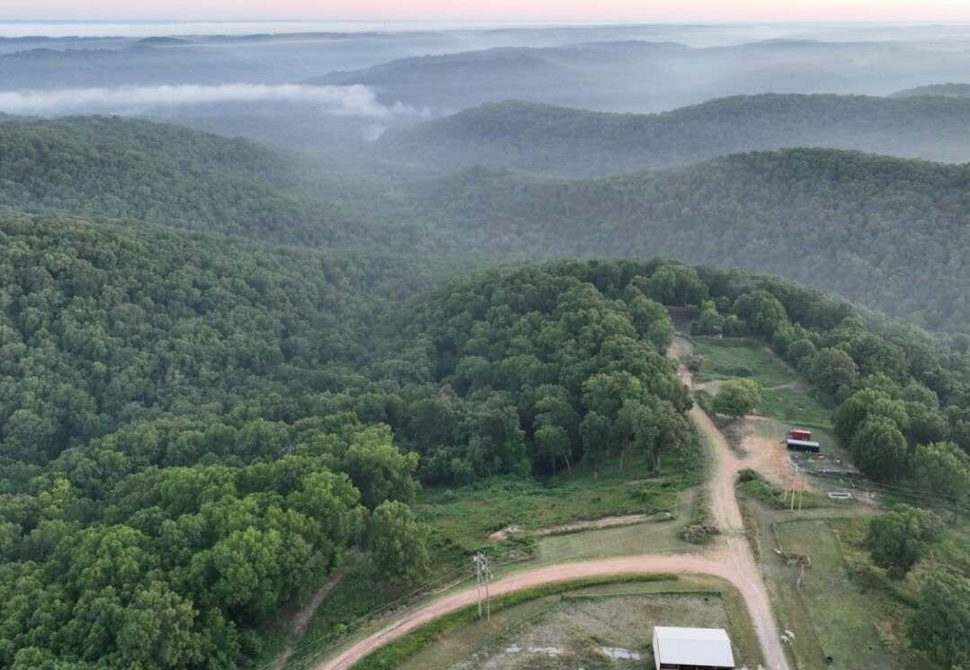 311 Tipton Mountain Road Property Photo 5