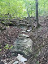 311 Tipton Mountain Road Property Photo 9