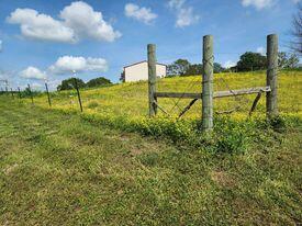 311 Tipton Mountain Road Property Photo 21