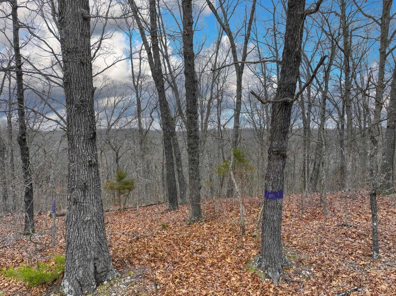 000 South Highway Uu Property Photo 22