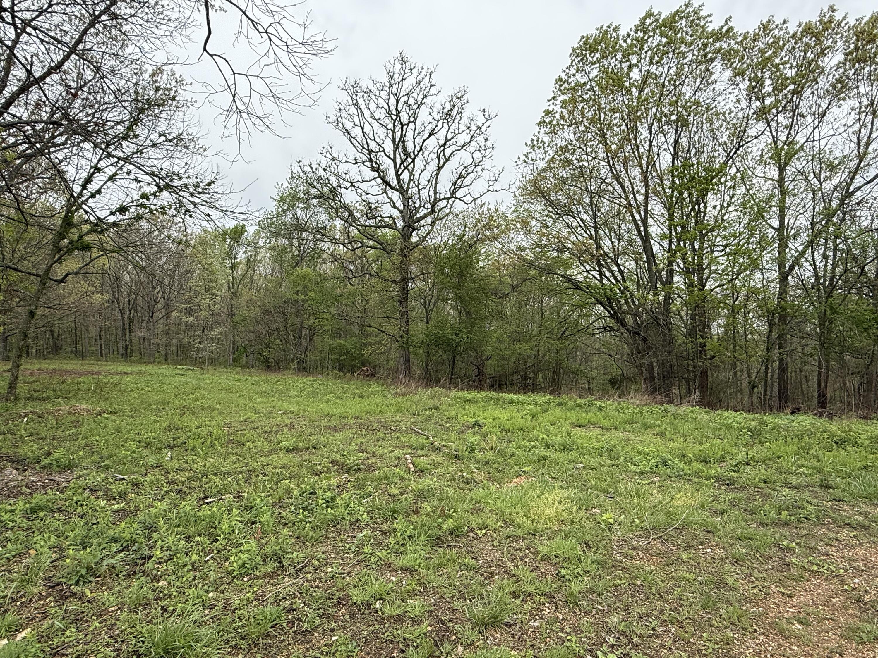 12205 Weber Road Property Photo 49
