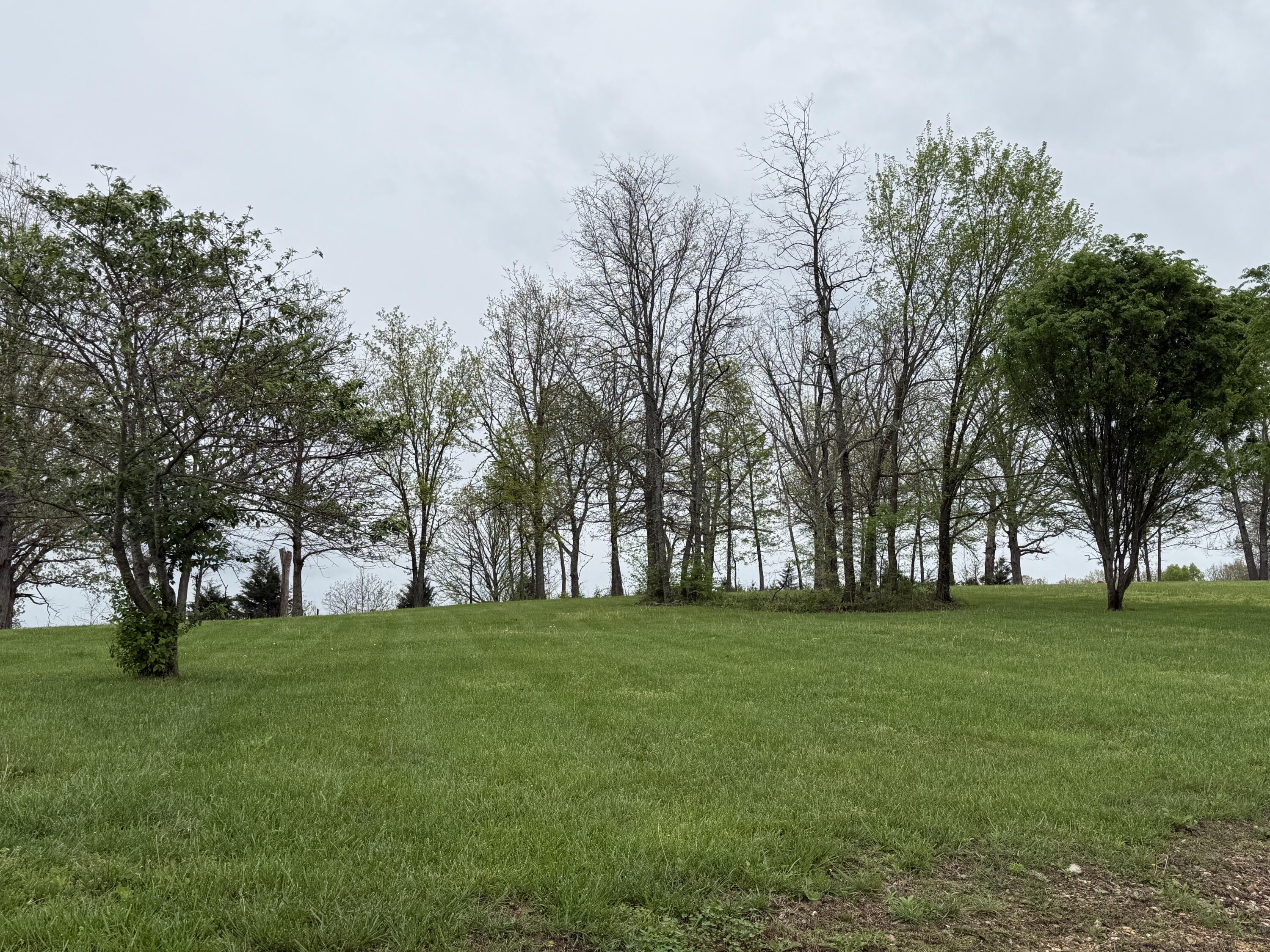 12205 Weber Road Property Photo 63