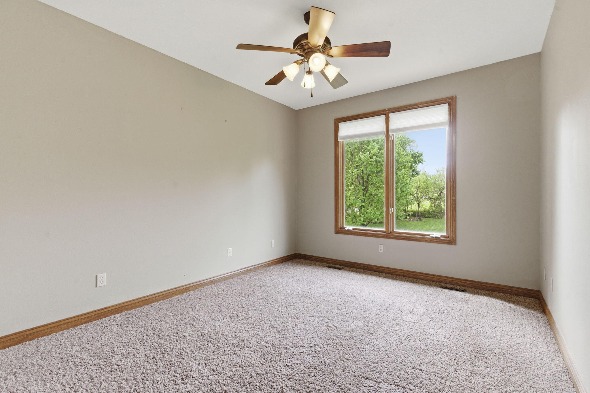4202 Buttonwood Drive Property Photo 20