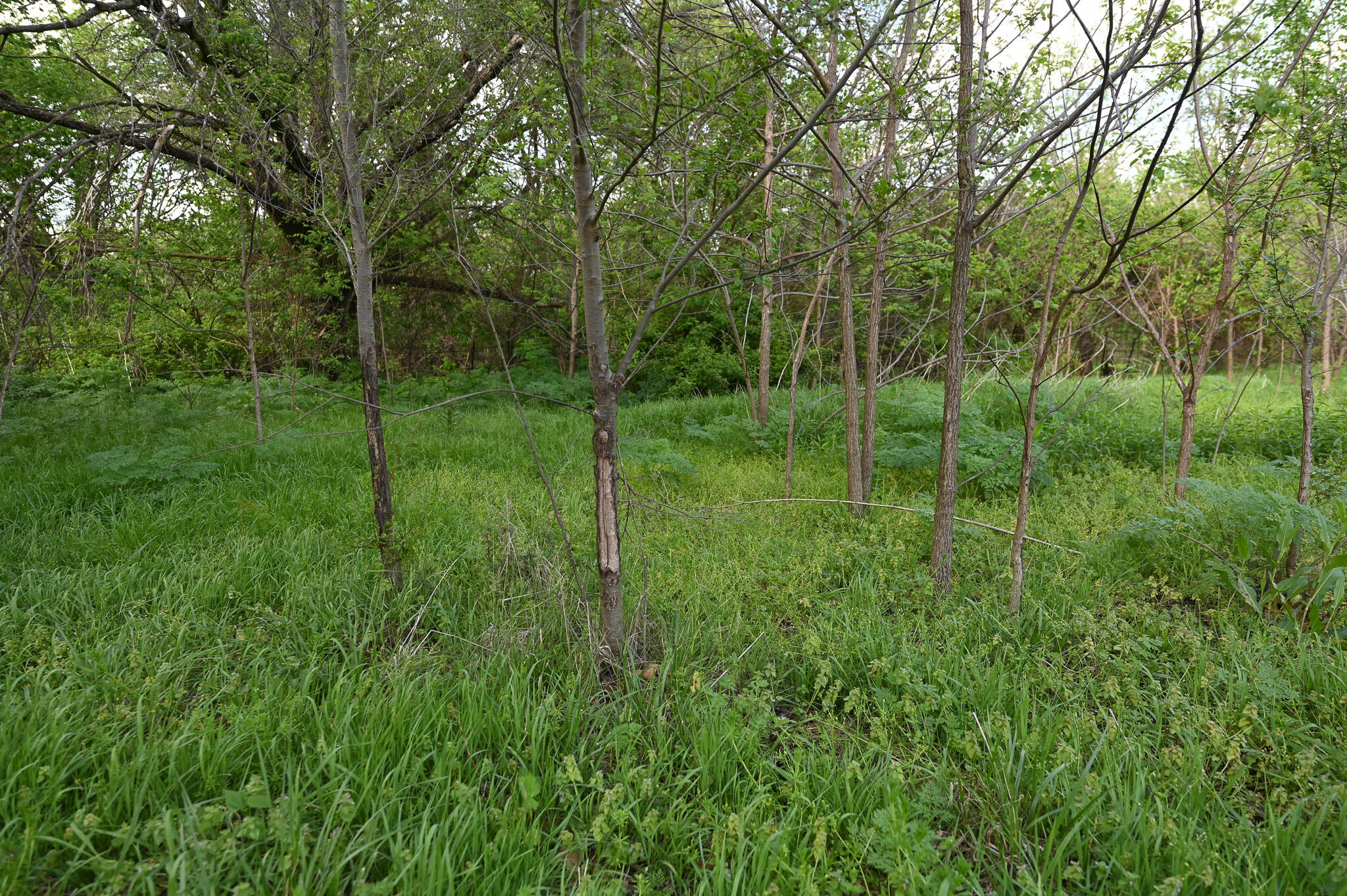 9351 South 2700 Road Property Photo 54