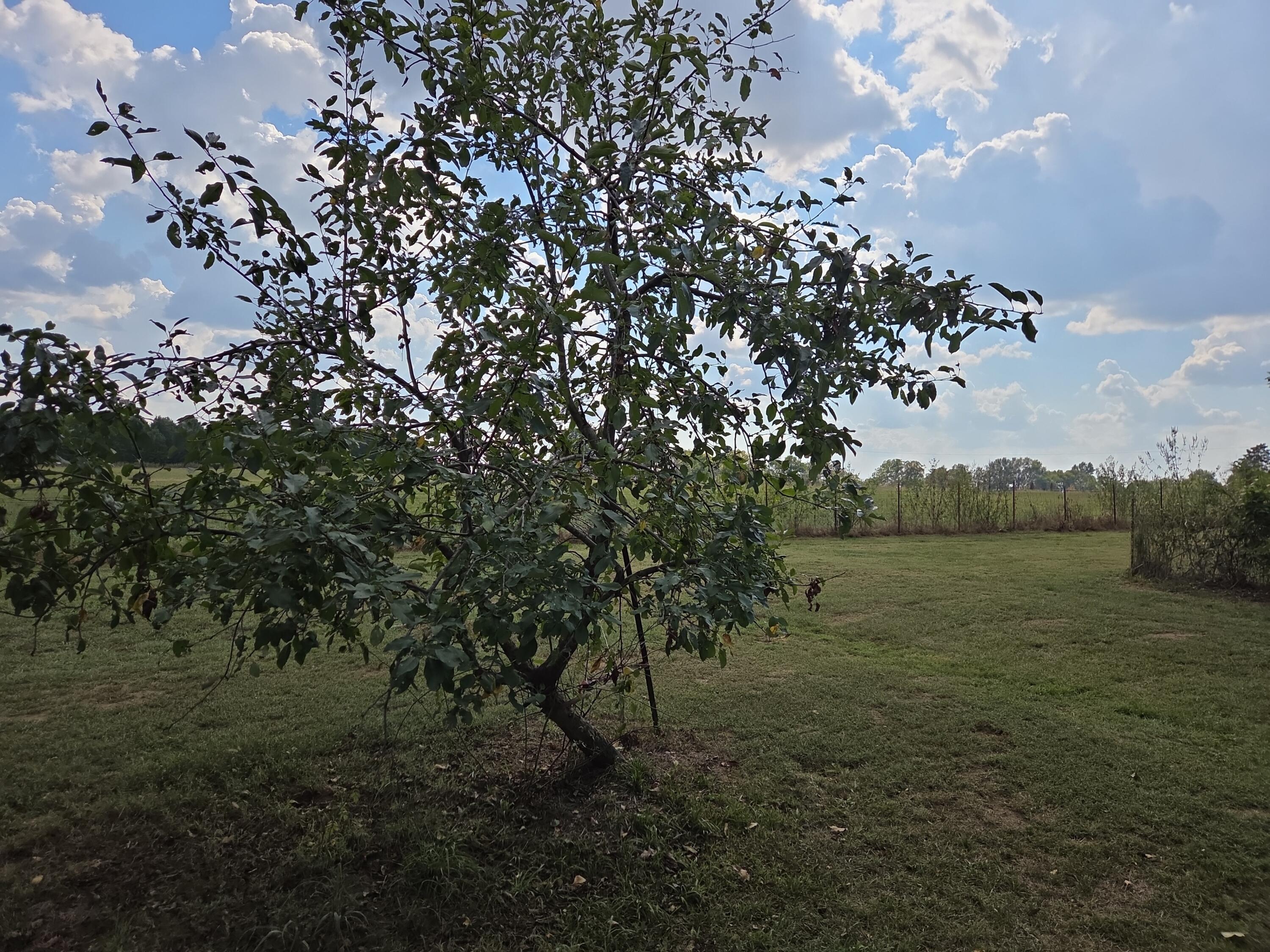 9351 South 2700 Road Property Photo 55
