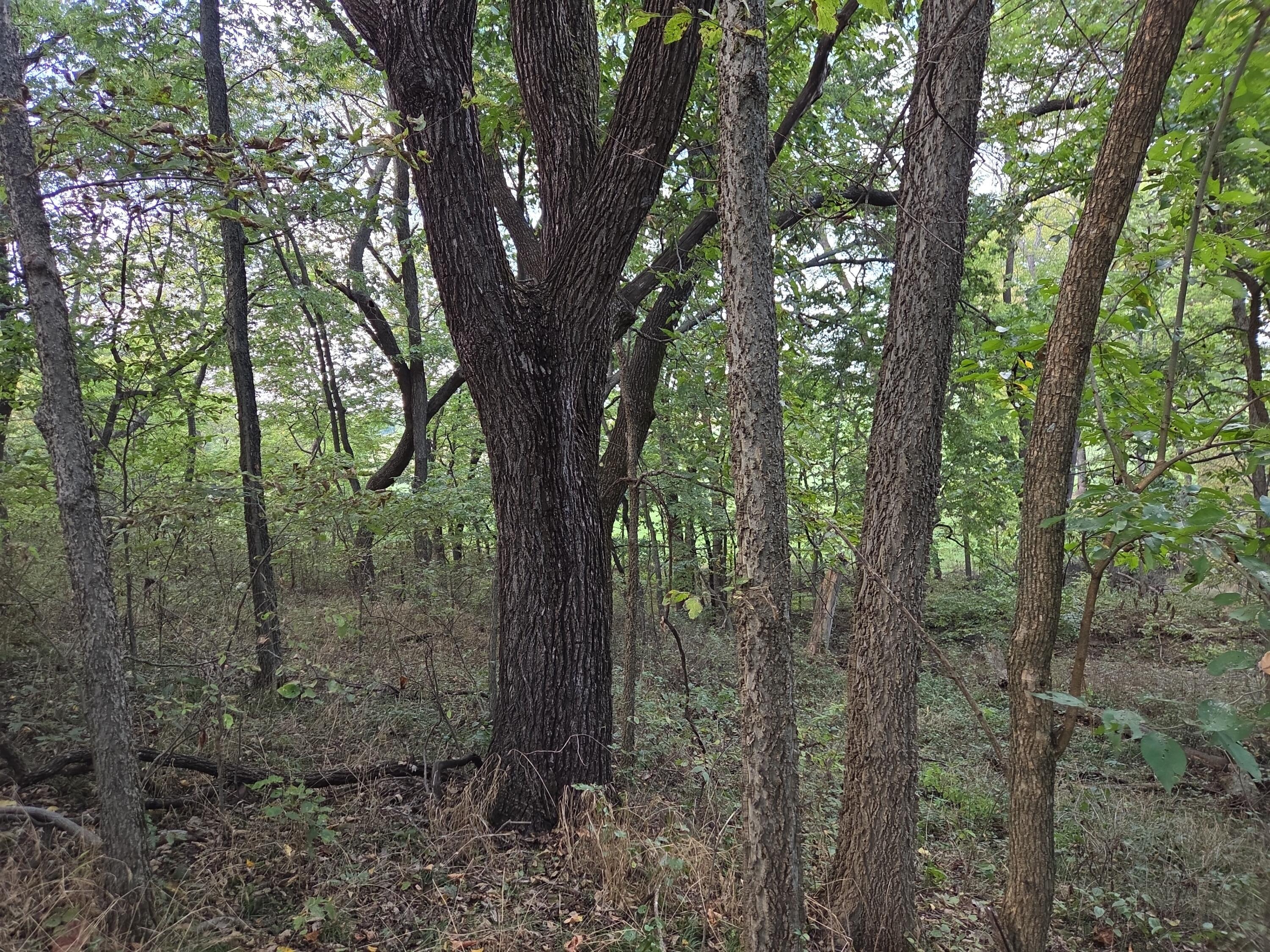 9351 South 2700 Road Property Photo 56