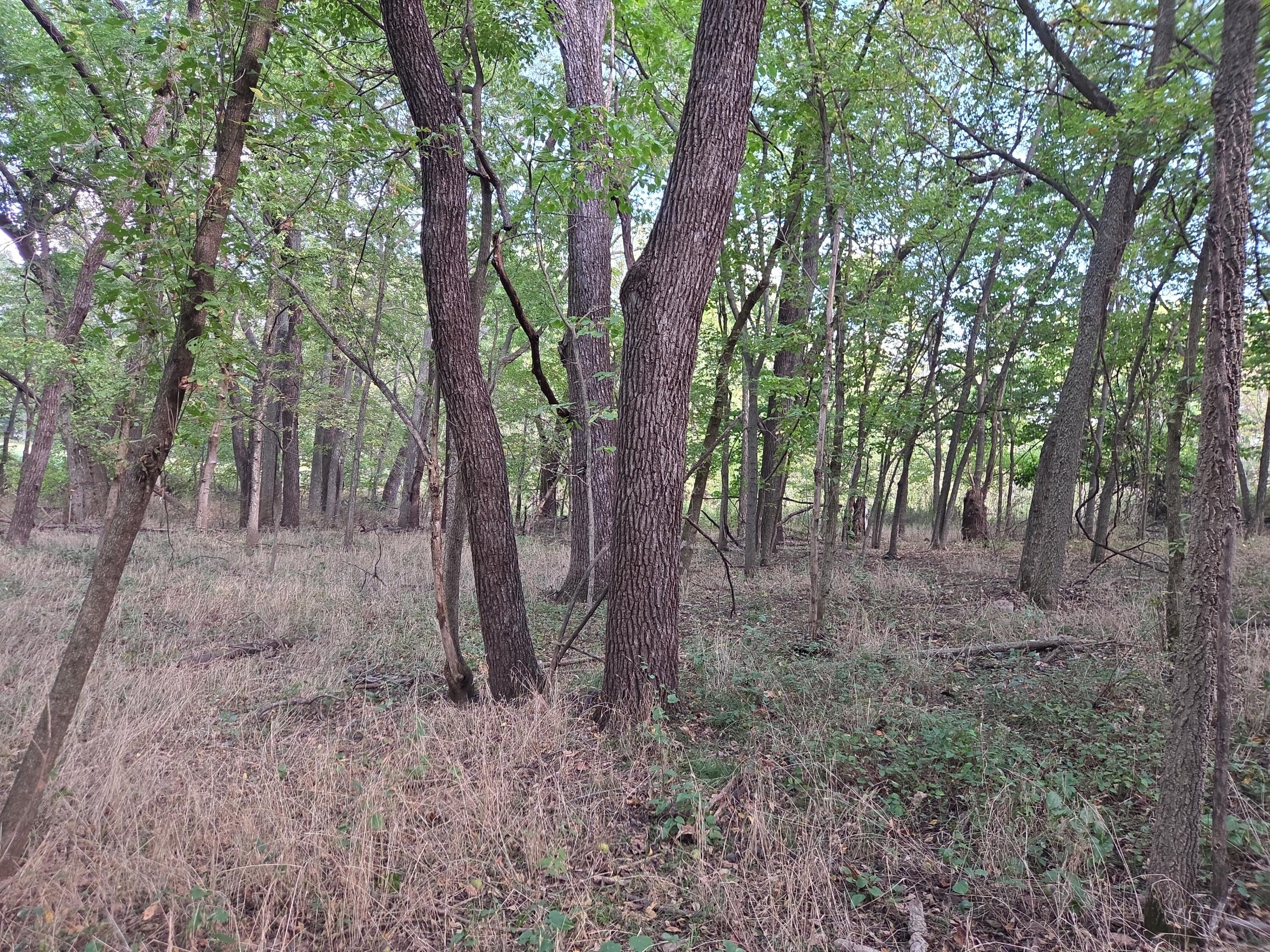 9351 South 2700 Road Property Photo 58