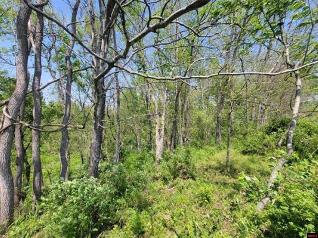 359 County Road 138 Property Photo 38