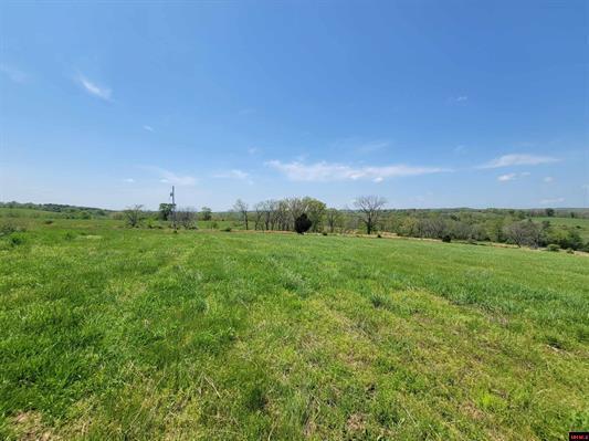 359 County Road 138 Property Photo 39