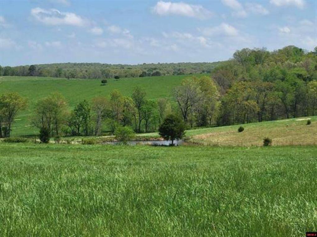 359 County Road 138 Property Photo 40