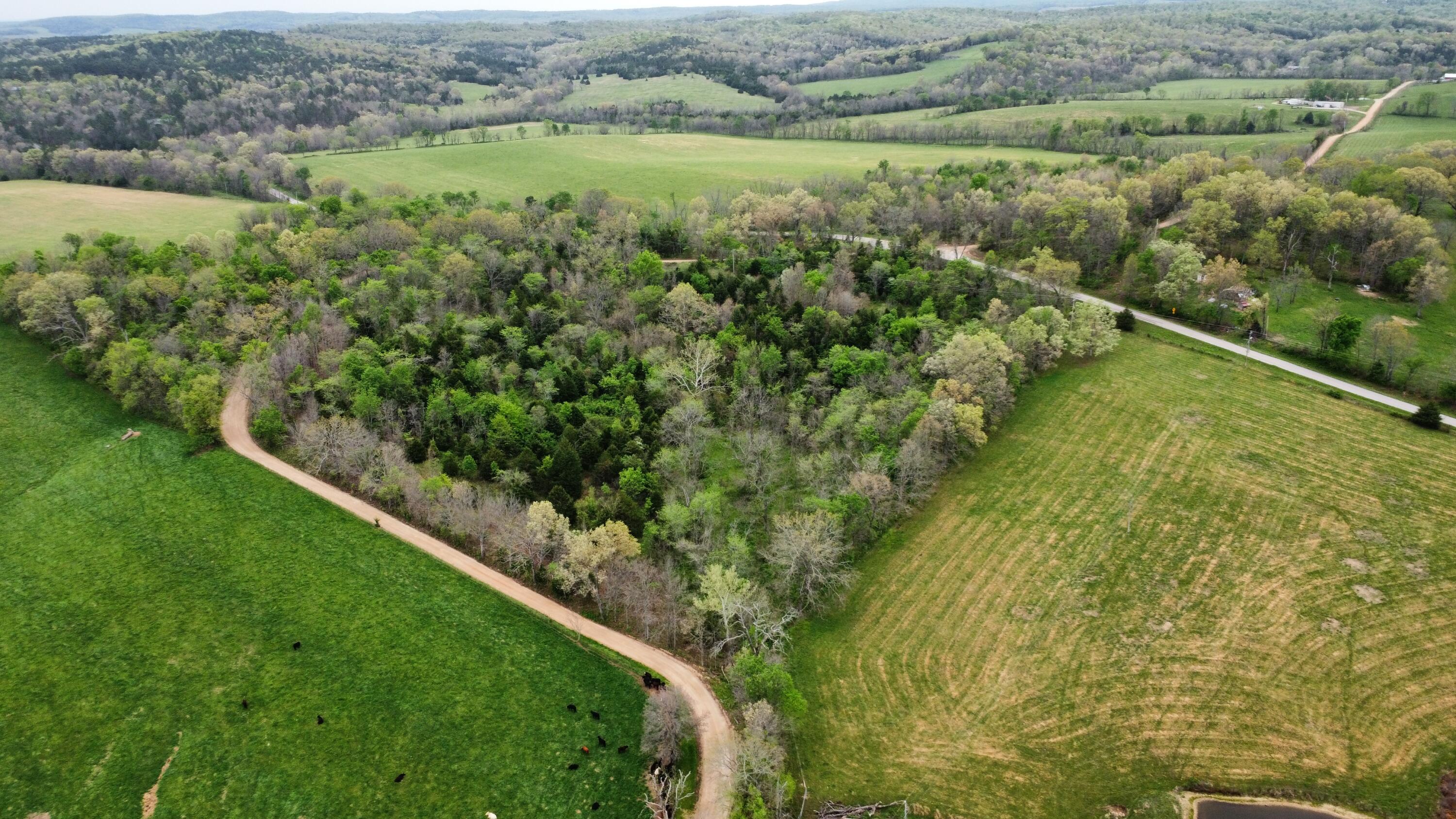 359 County Road 138 Property Photo 45