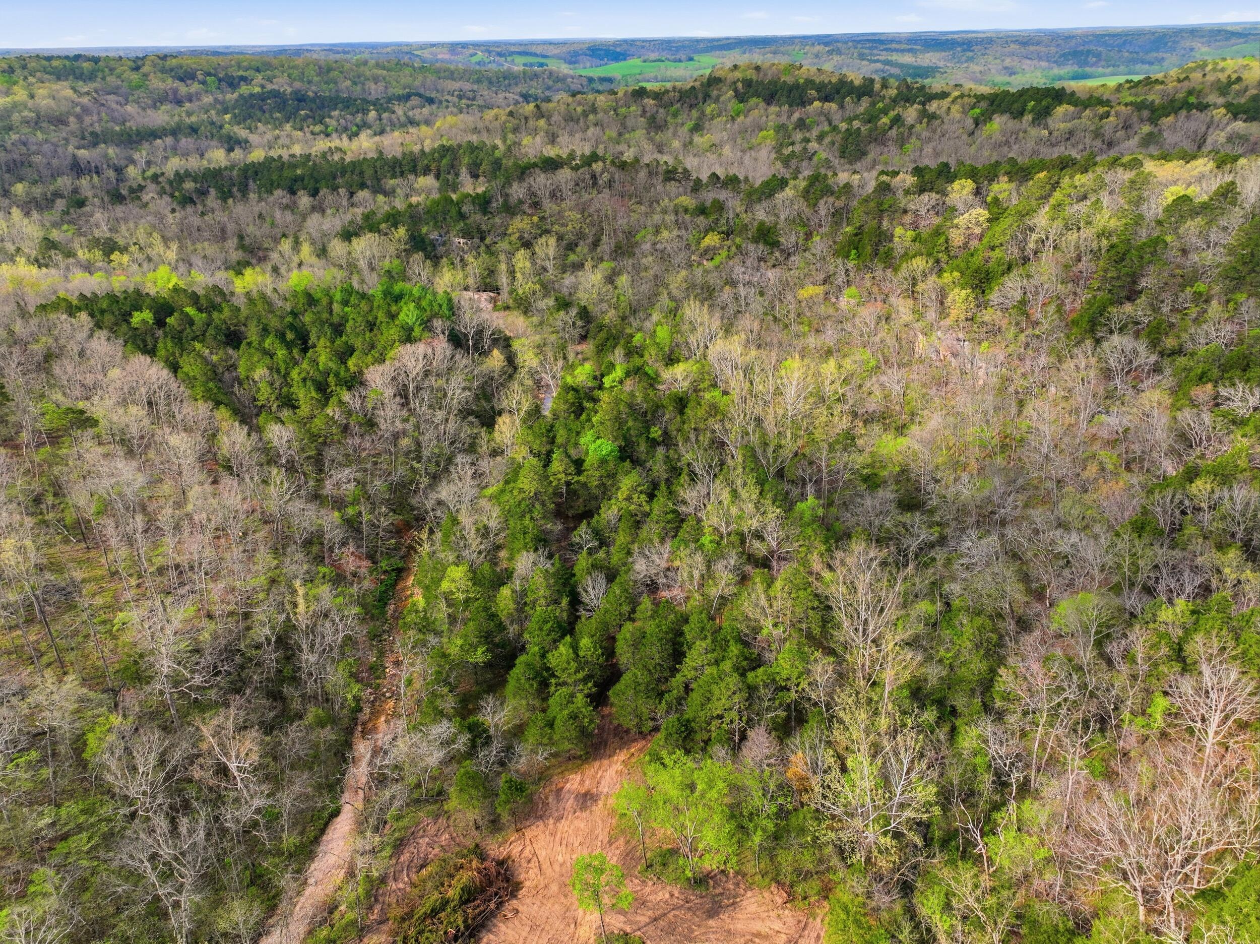 000 Highway 32 Property Photo 10