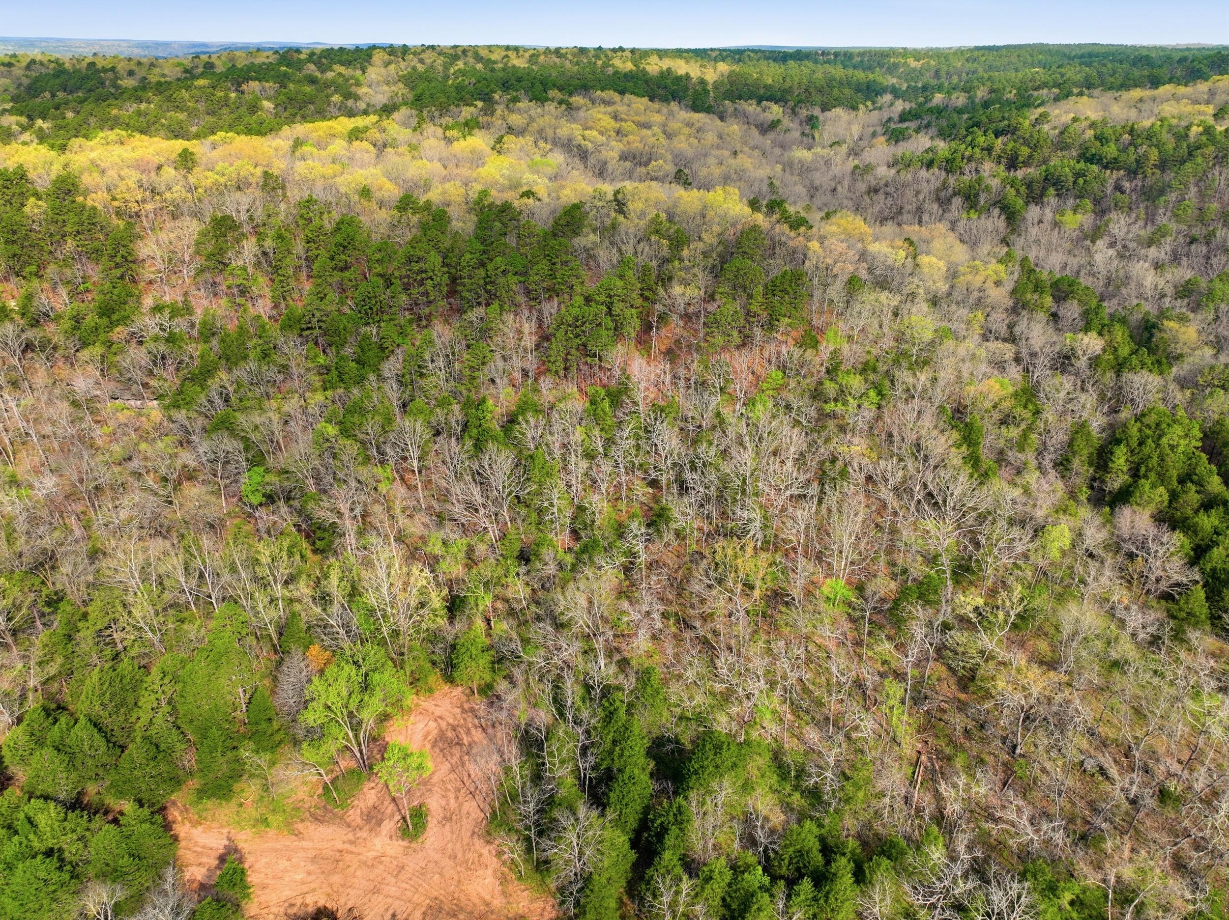 000 Highway 32 Property Photo 11