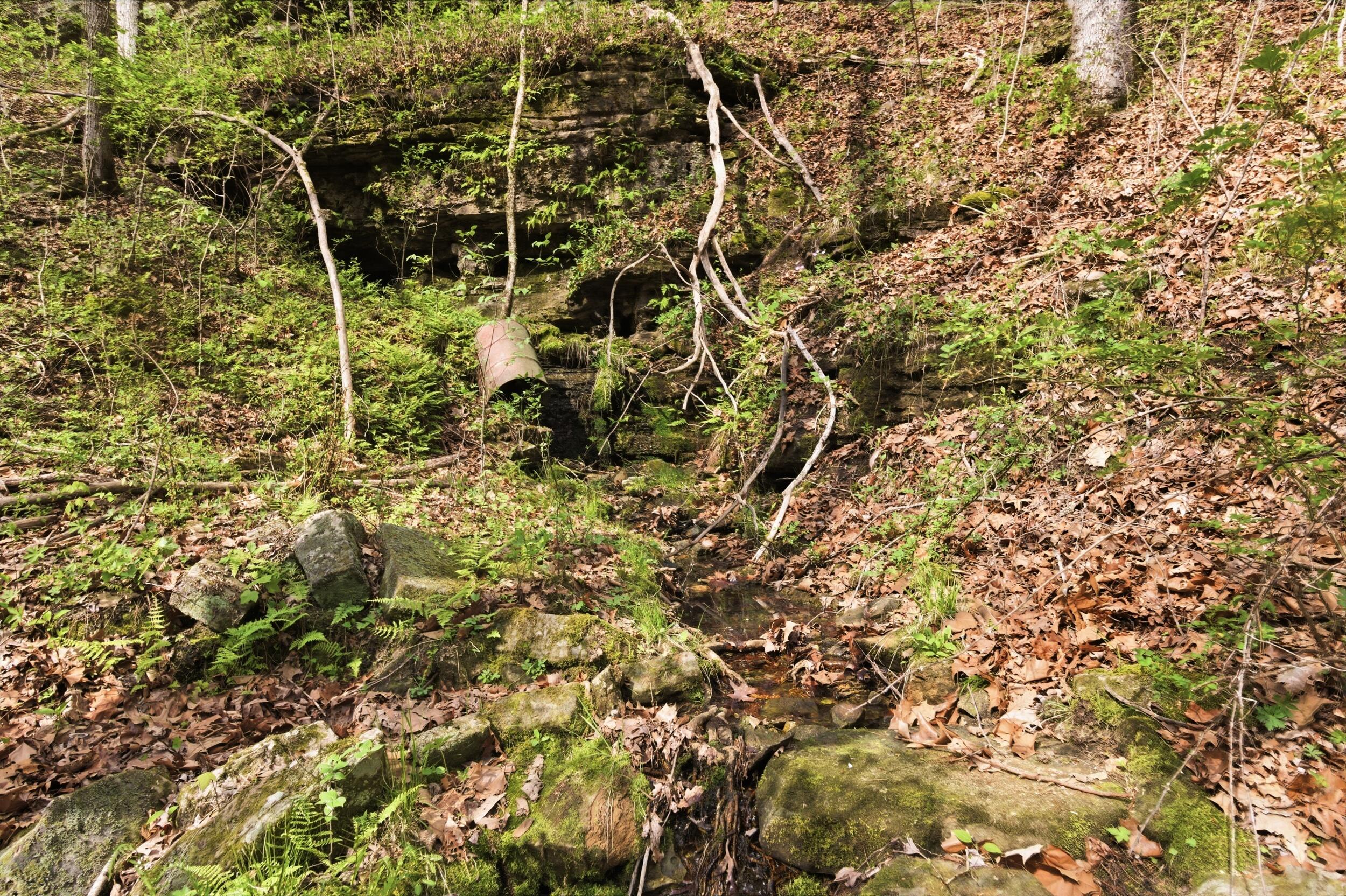 000 Highway 32 Property Photo 19