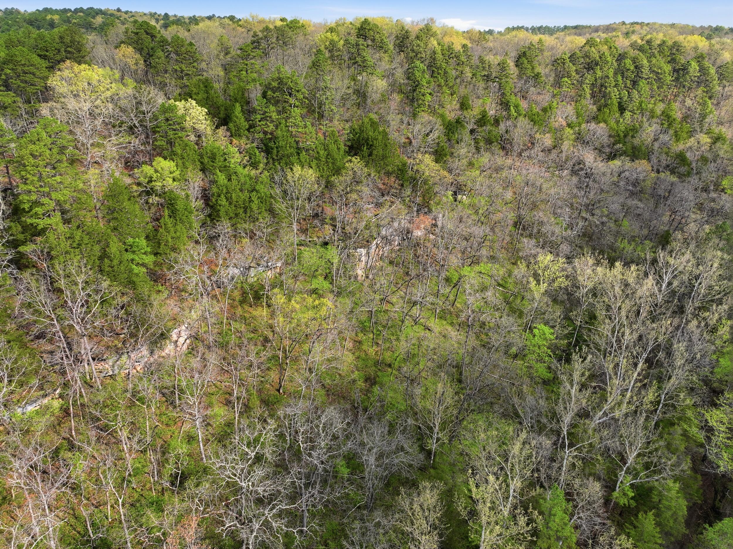 000 Highway 32 Property Photo 35