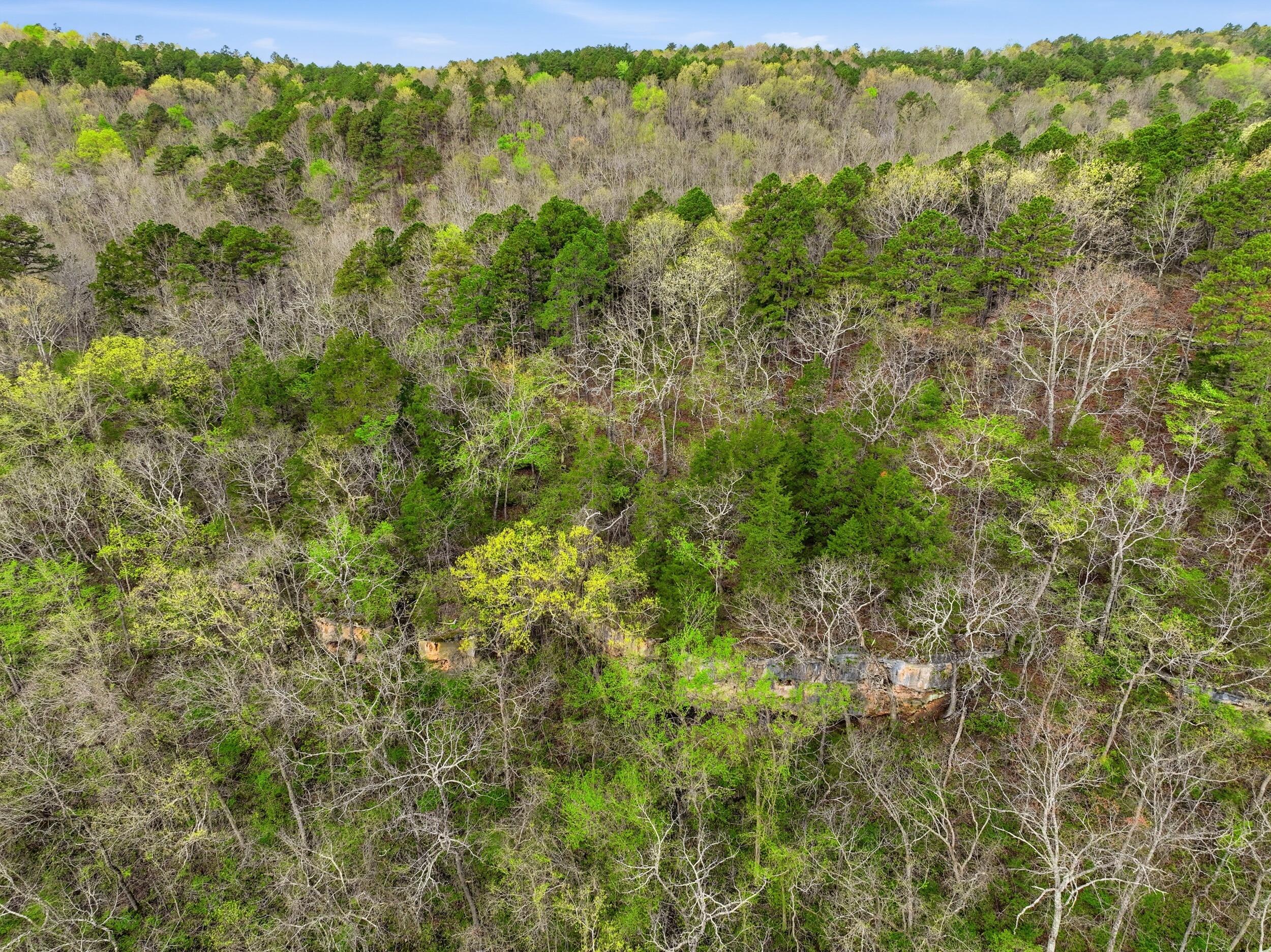 000 Highway 32 Property Photo 43