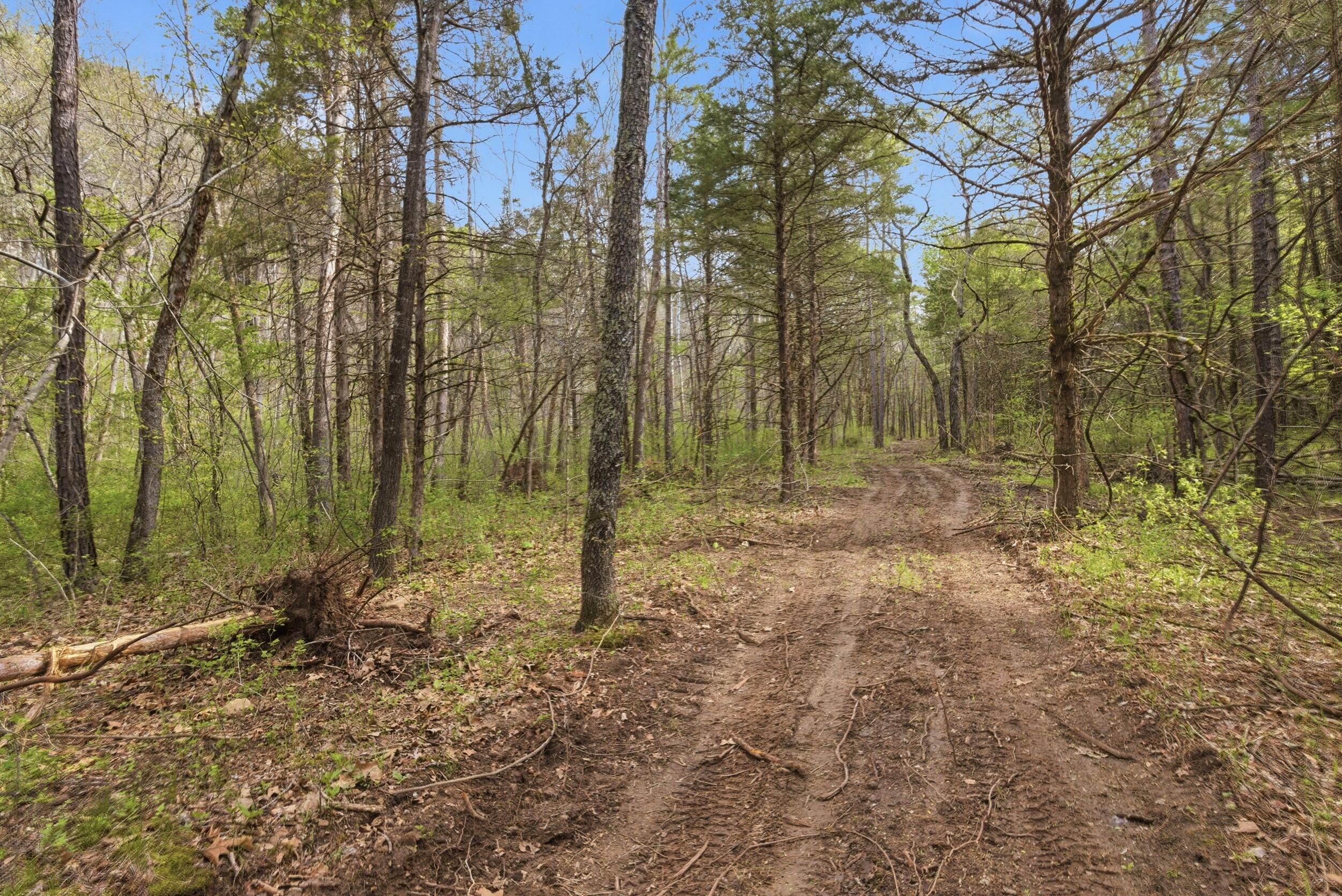 000 Highway 32 Property Photo 67