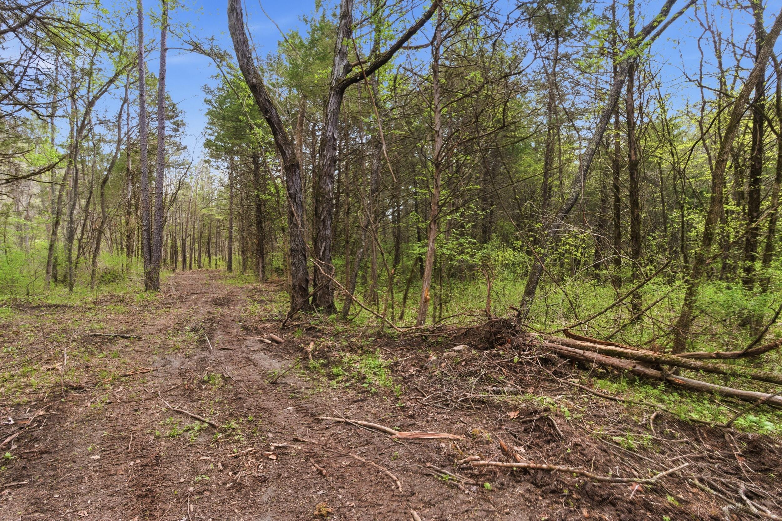 000 Highway 32 Property Photo 68