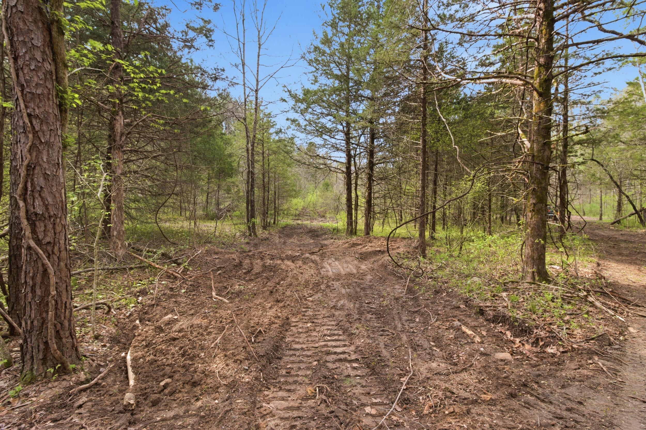 000 Highway 32 Property Photo 69