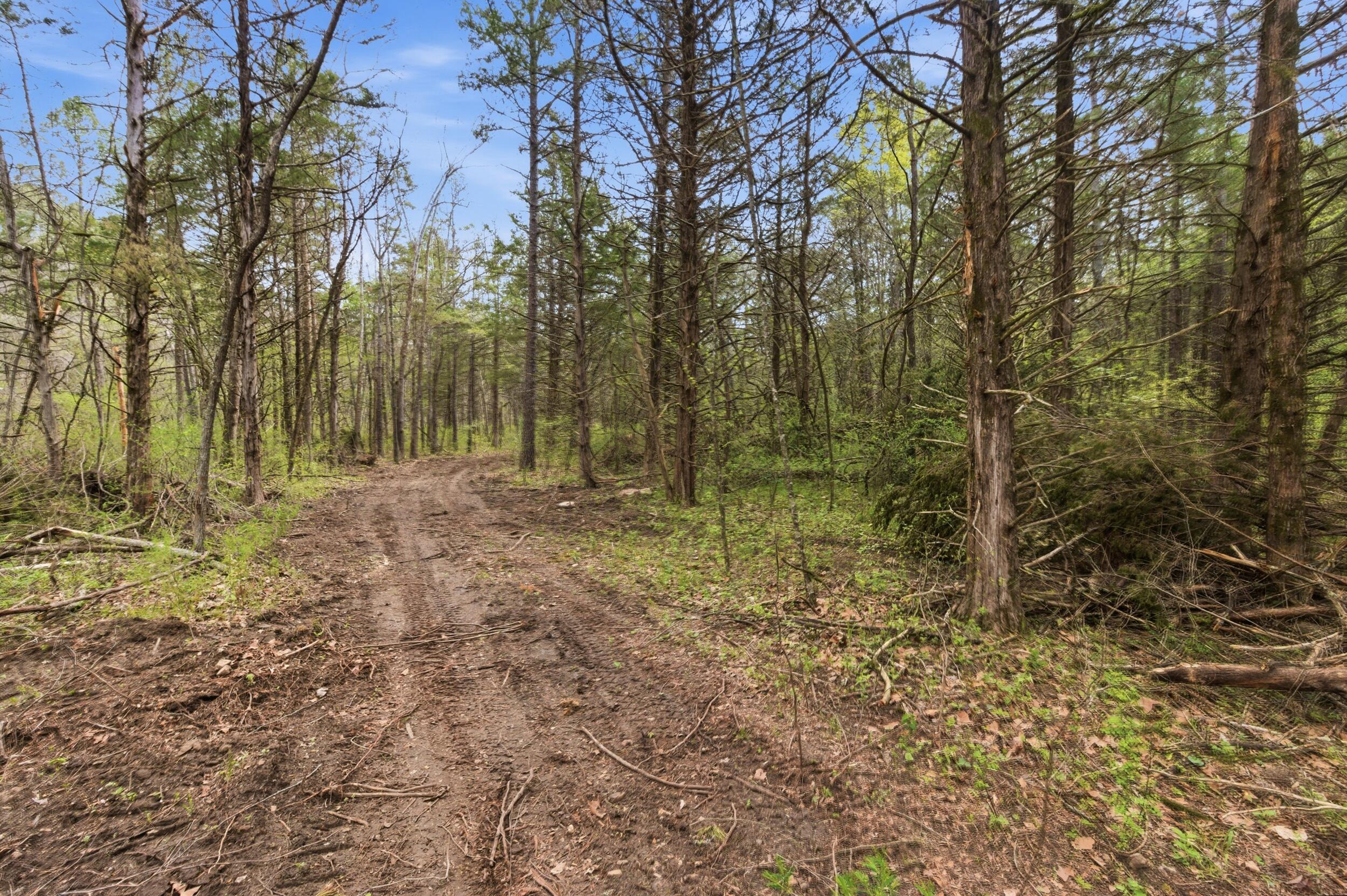 000 Highway 32 Property Photo 71