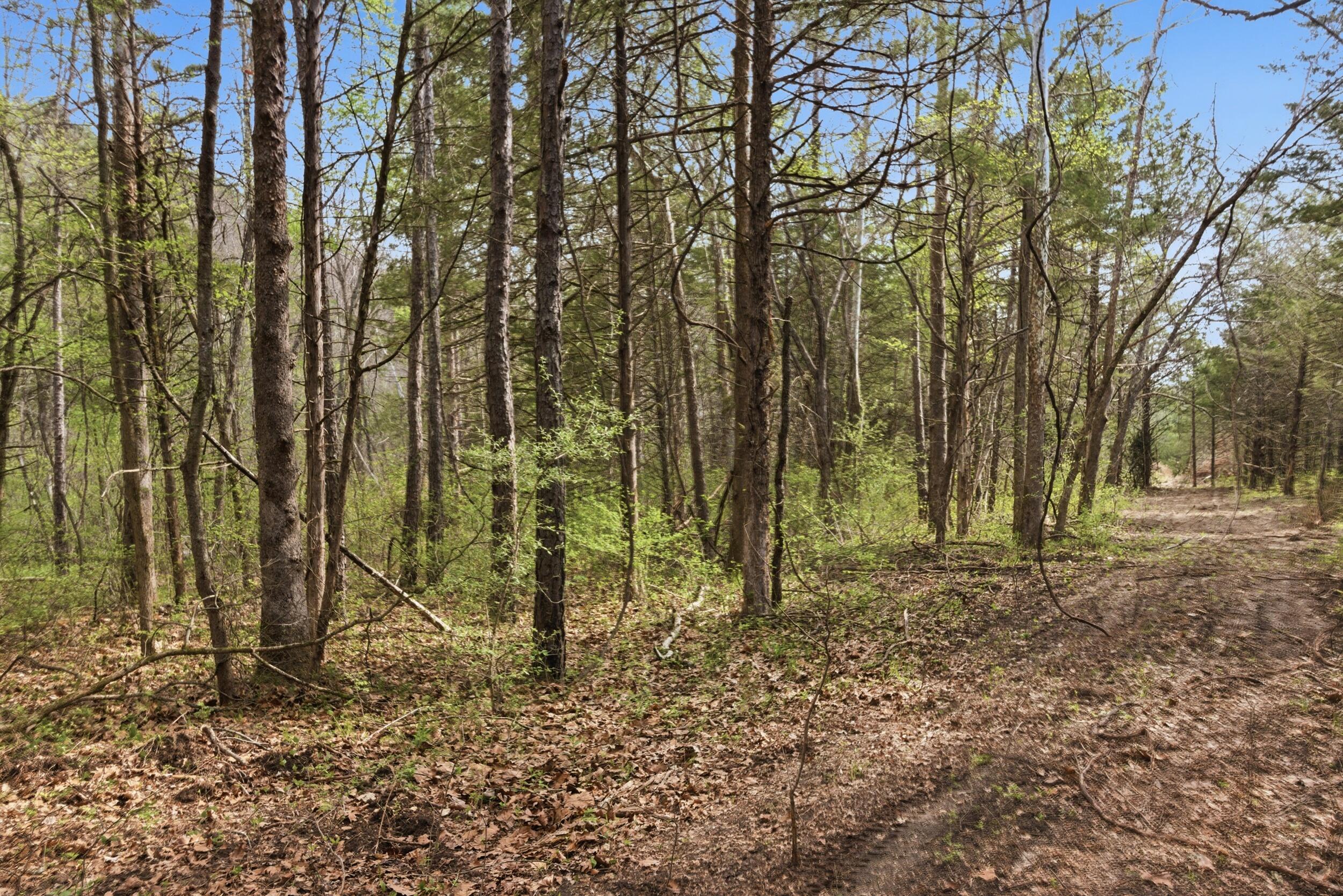 000 Highway 32 Property Photo 73