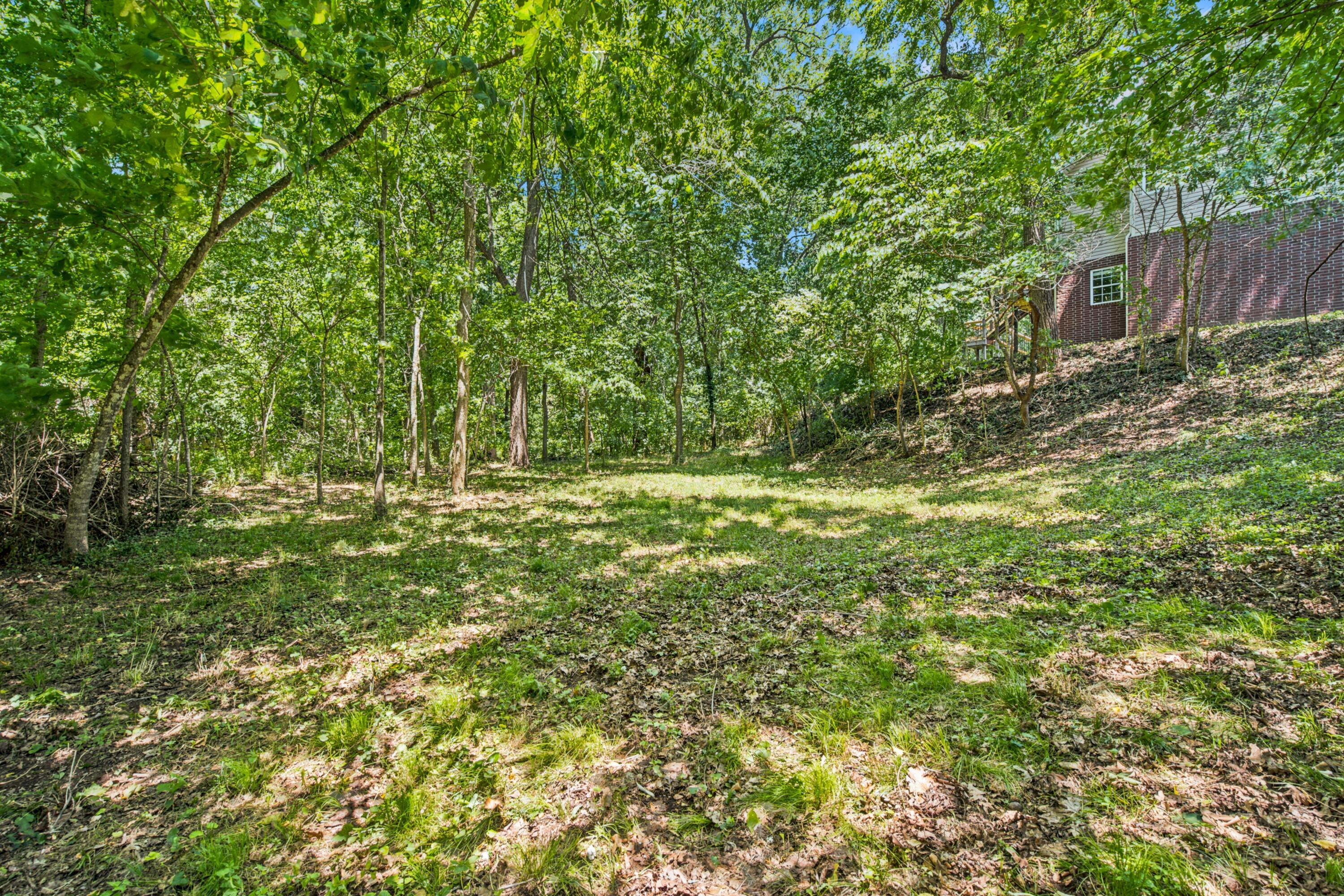 2012 North 7th Avenue Property Photo 4