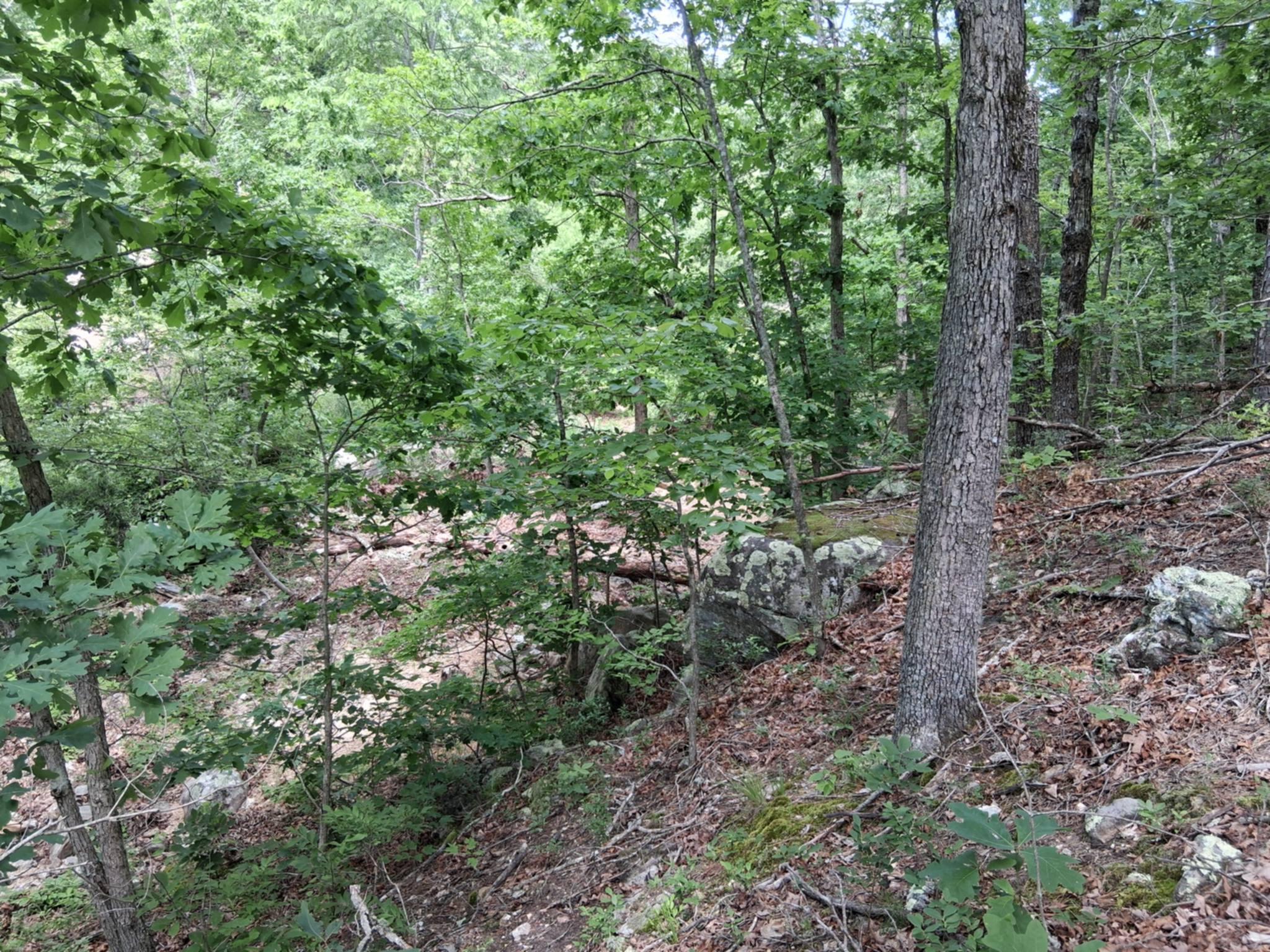 Tbd Golden Drive Property Photo 3