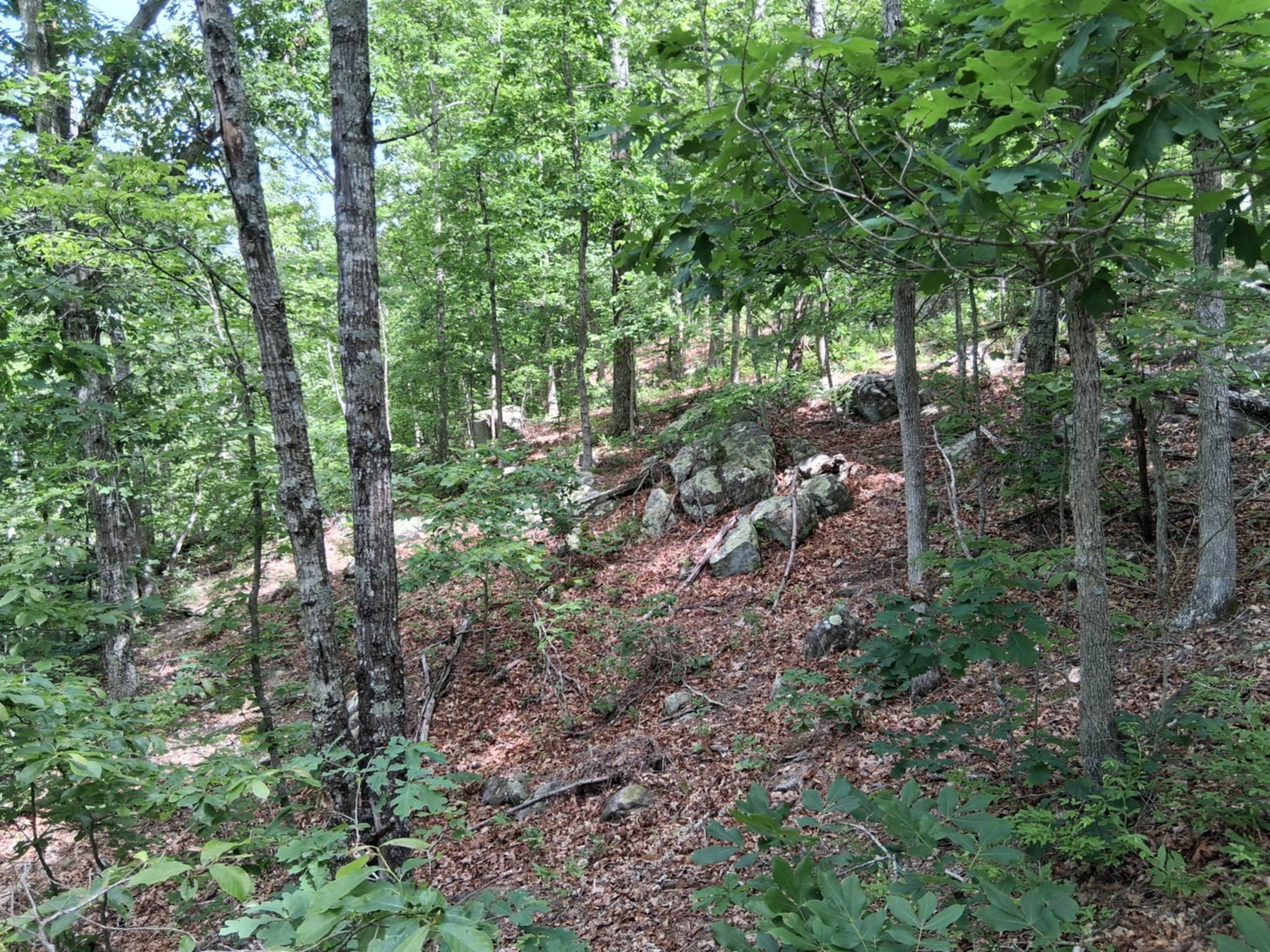 Tbd Golden Drive Property Photo 4
