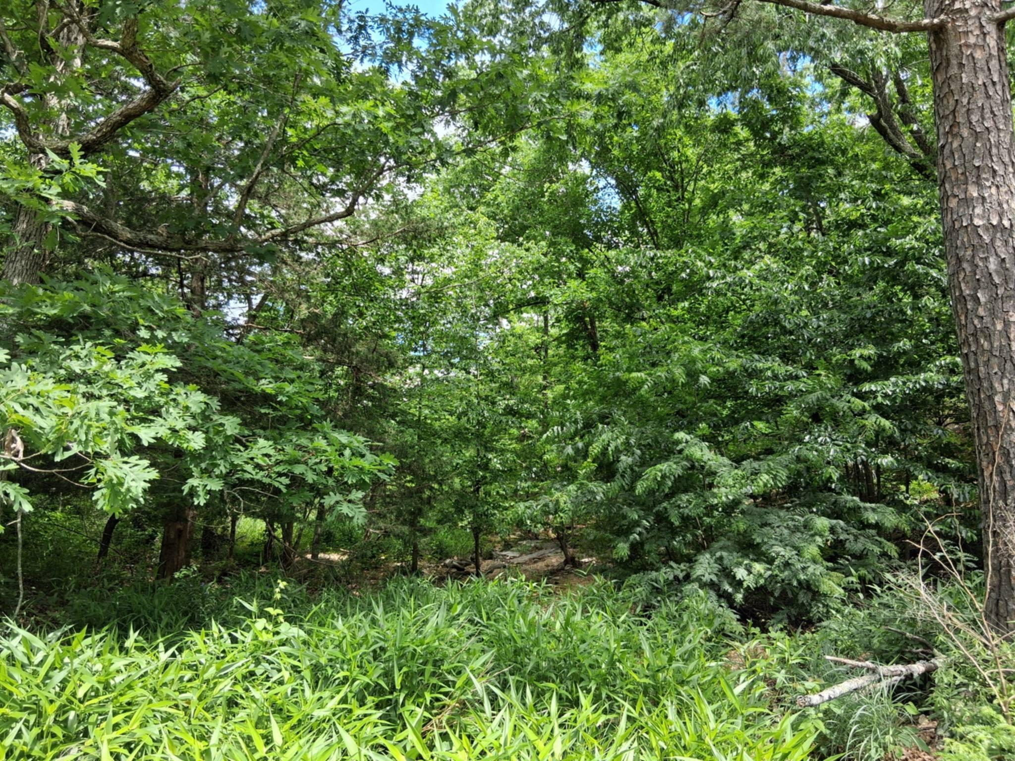 Tbd Golden Drive Property Photo 15