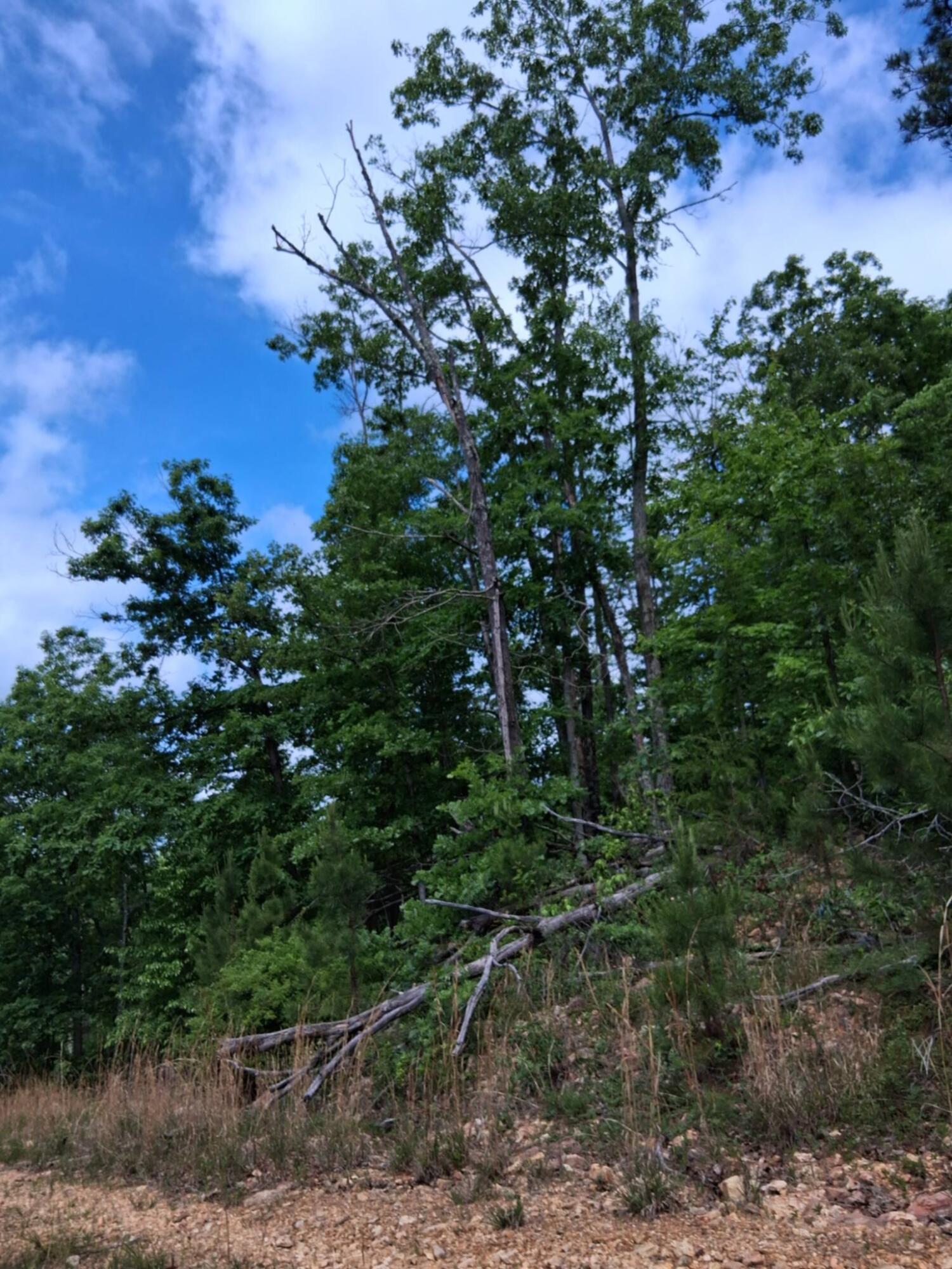 Tbd Golden Drive Property Photo 18