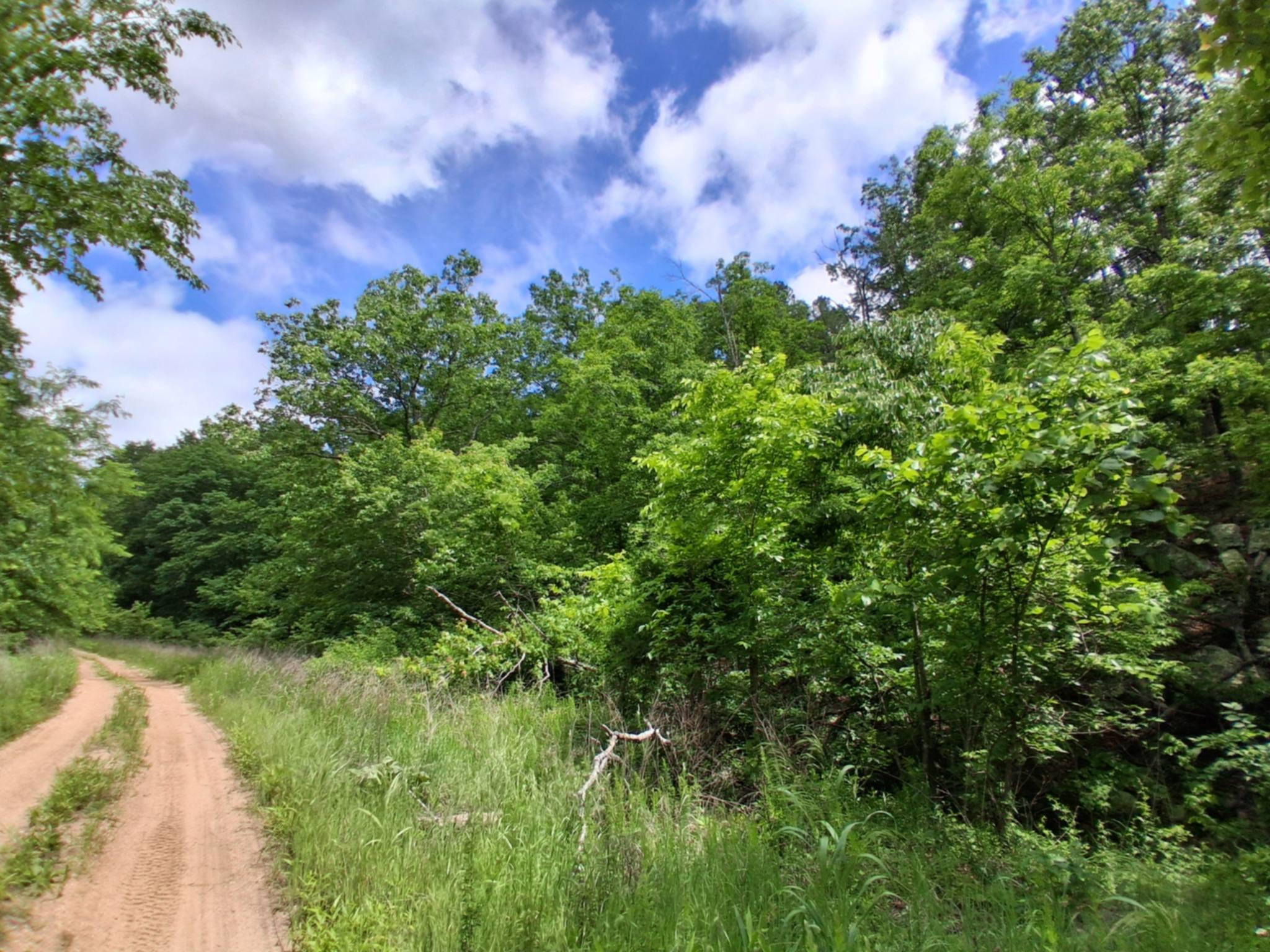 Tbd Golden Drive Property Photo 20