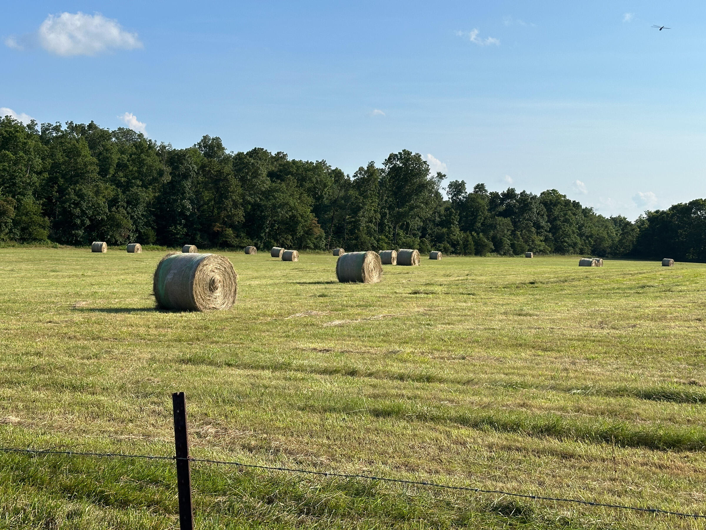 4420 State Route Dd Property Photo 1