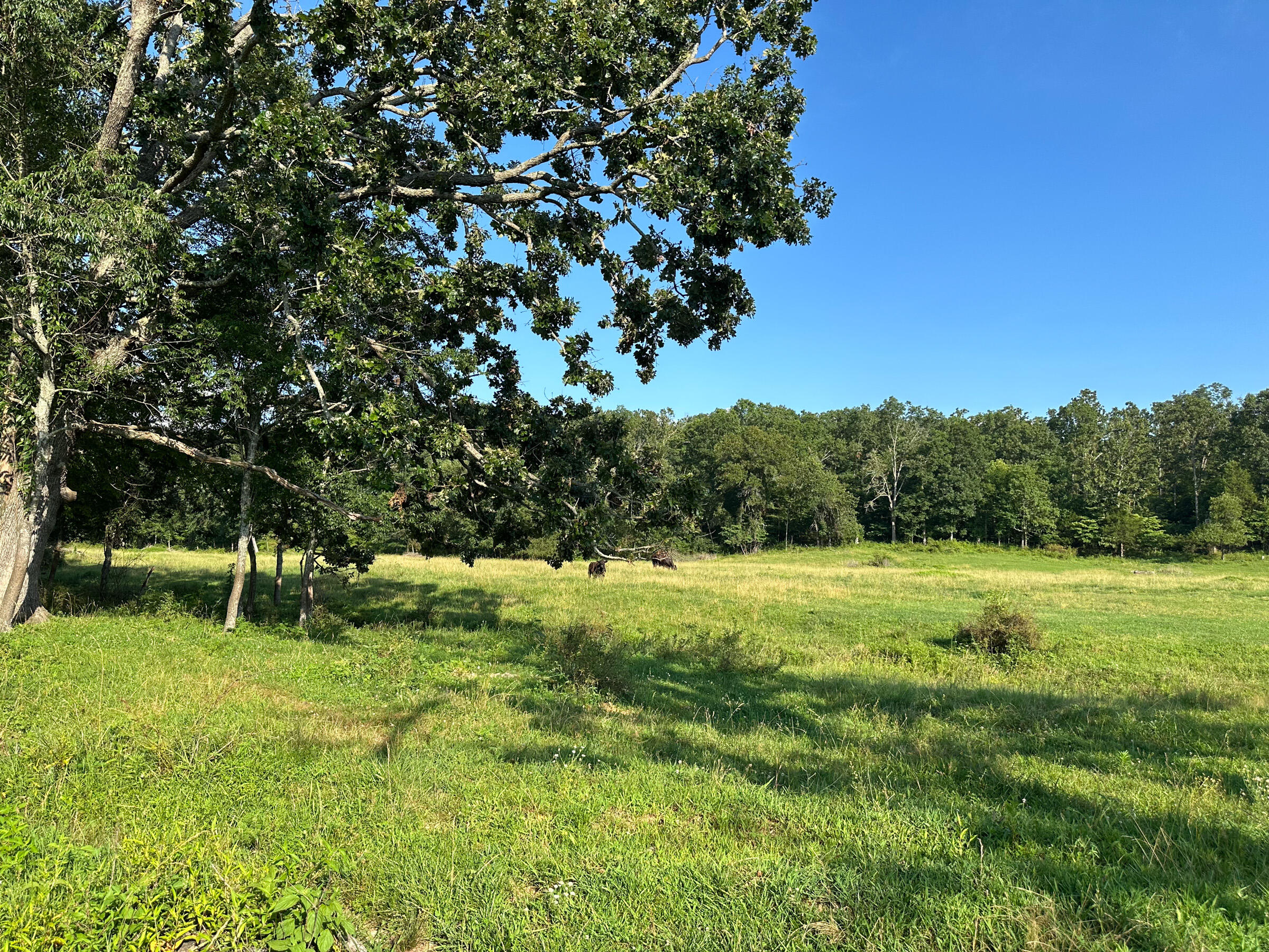 4420 State Route Dd Property Photo 5