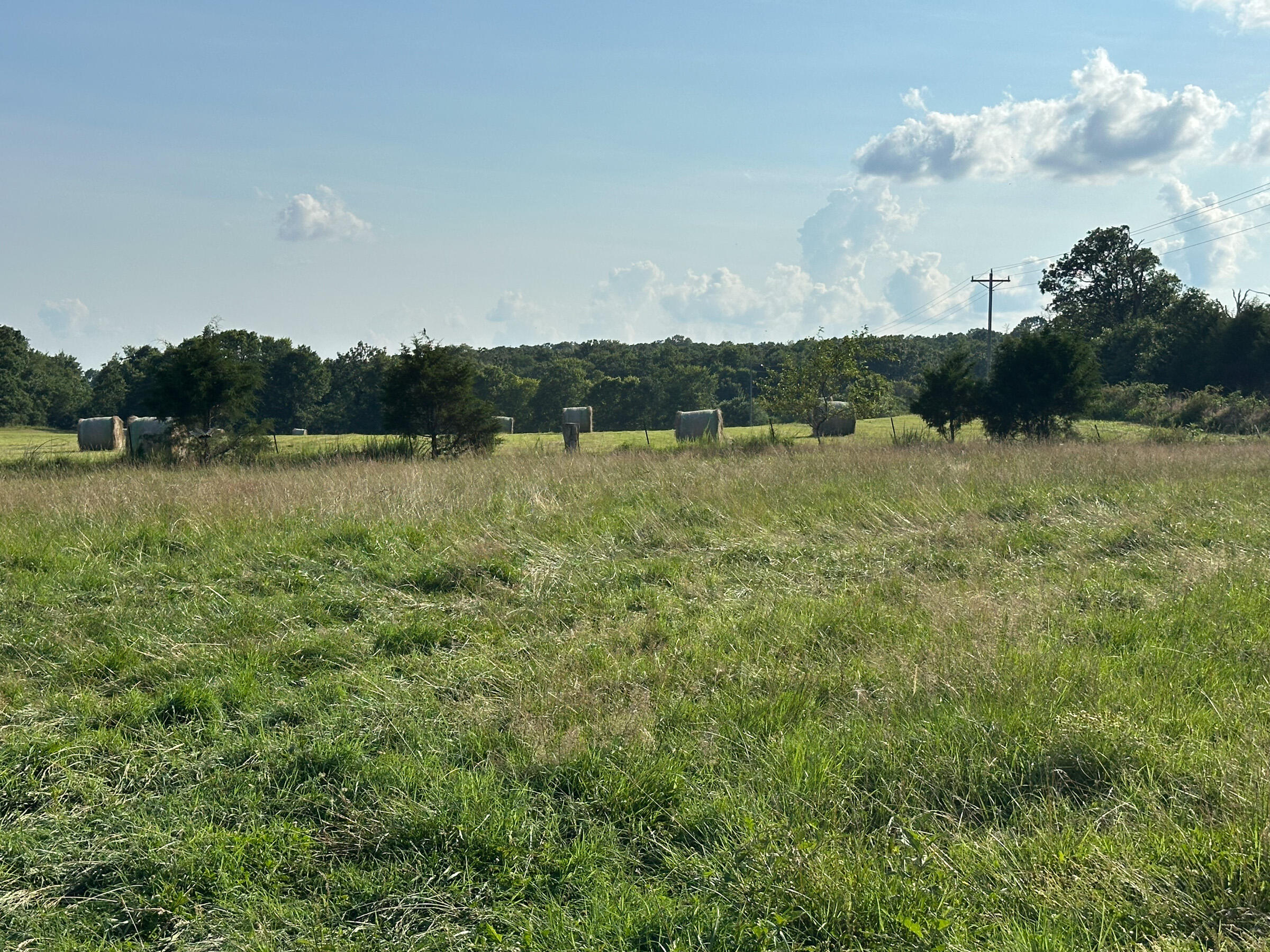 4420 State Route Dd Property Photo 8