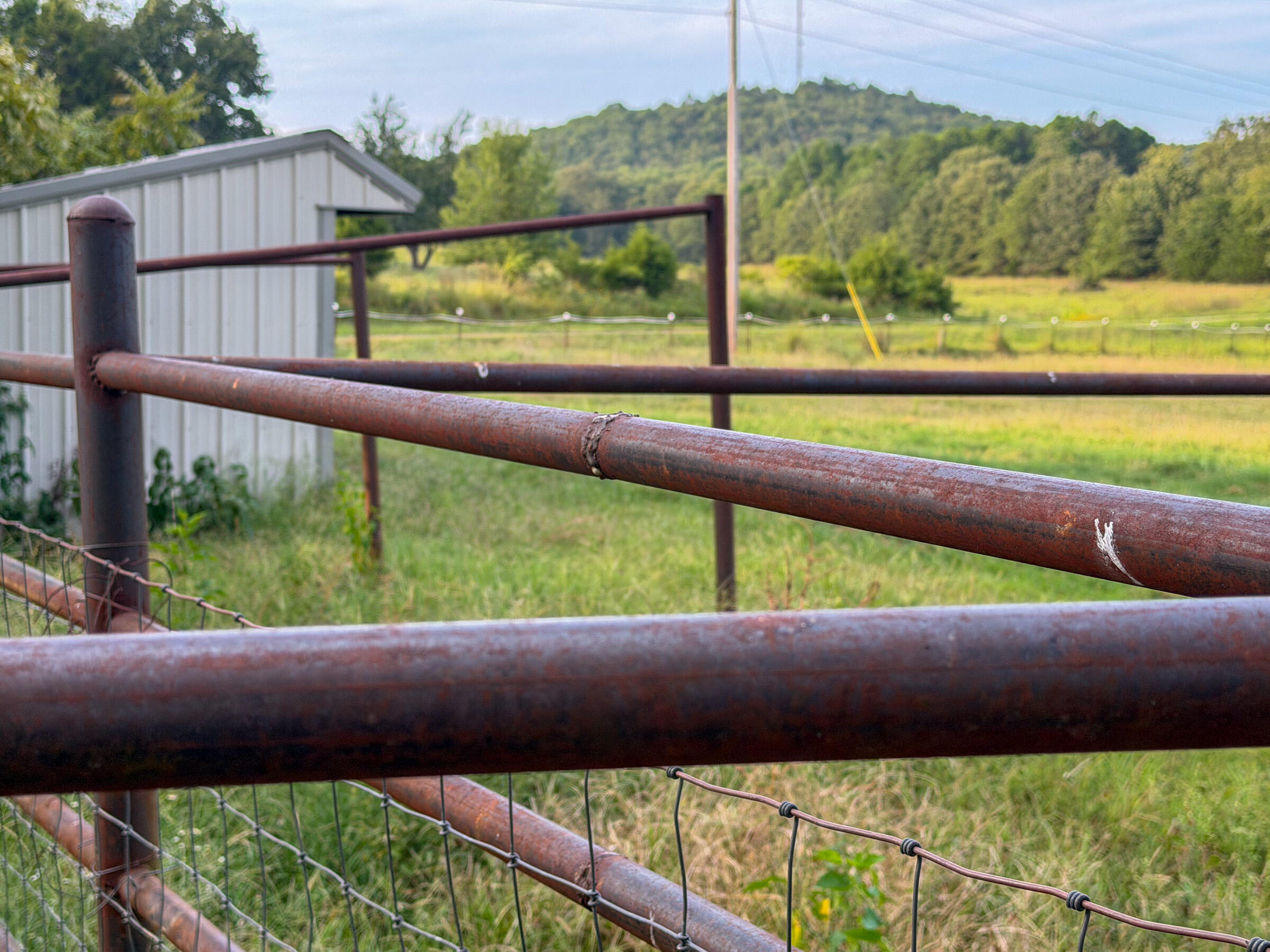 4420 State Route Dd Property Photo 10