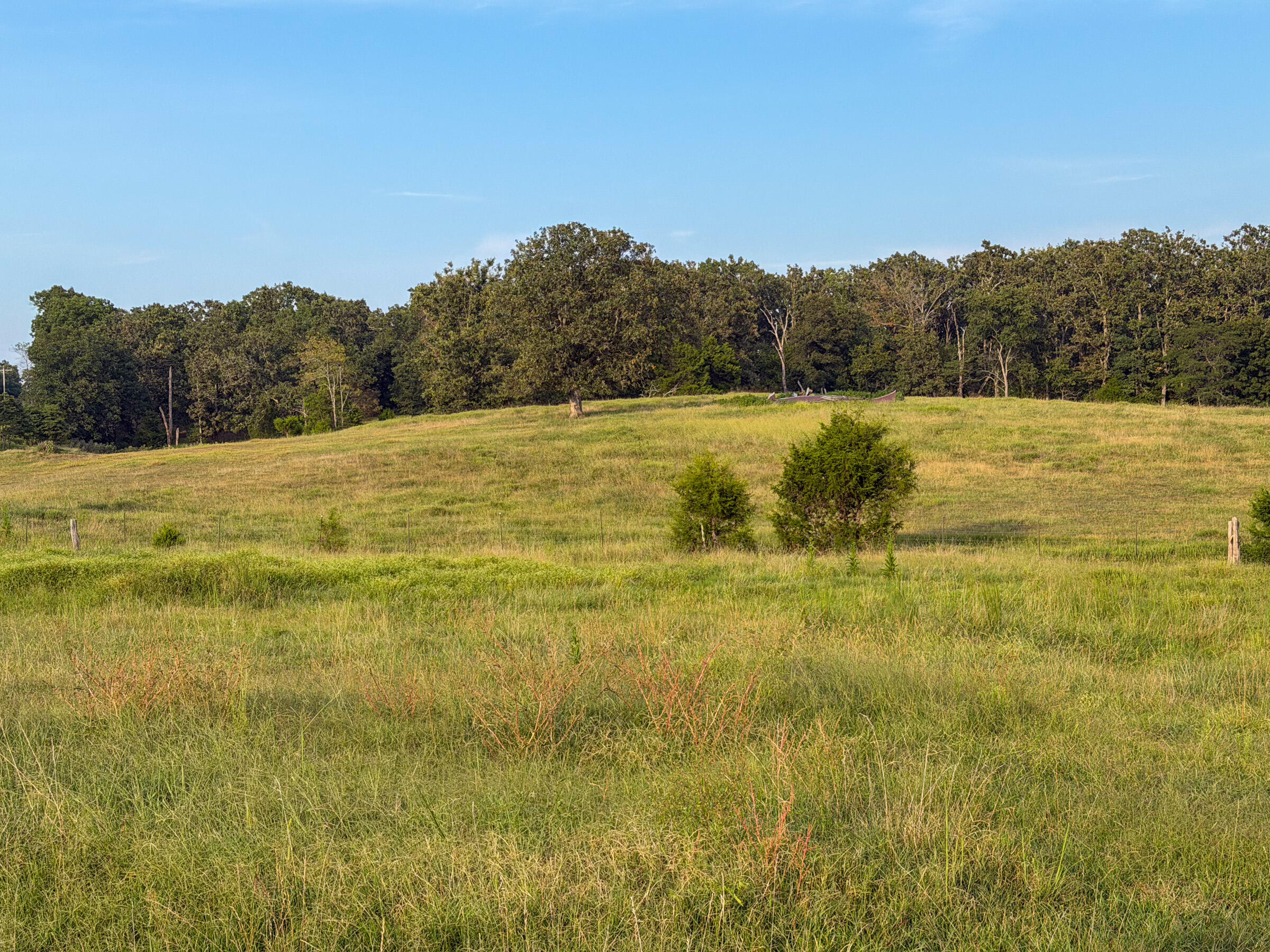 4420 State Route Dd Property Photo 13