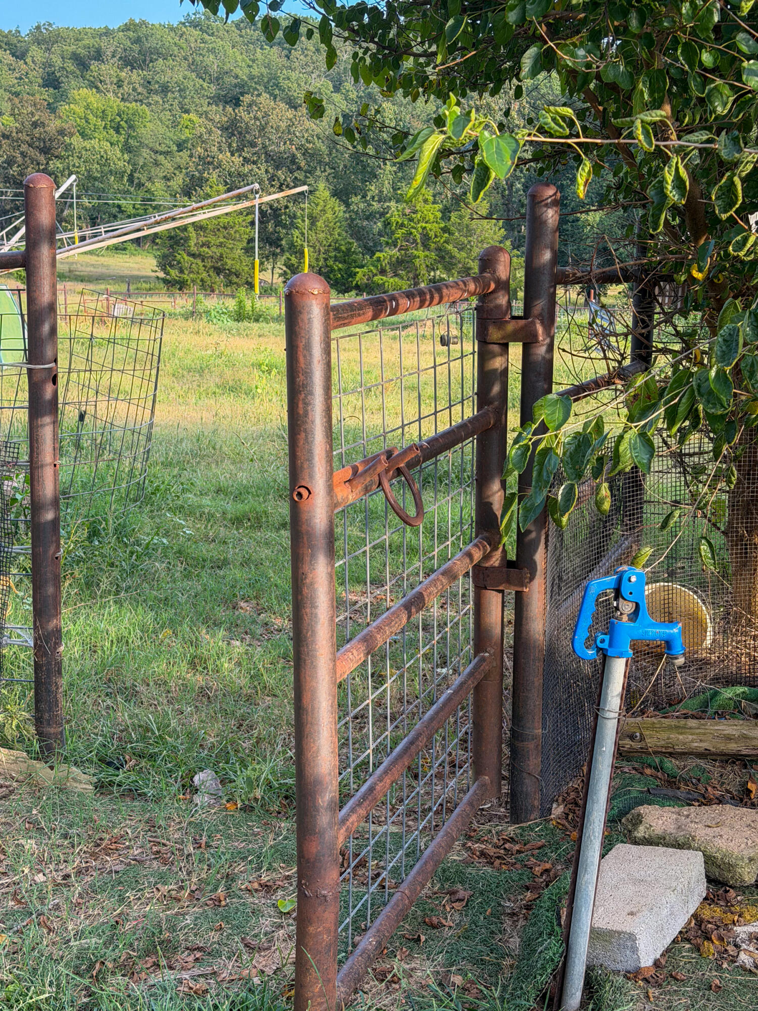 4420 State Route Dd Property Photo 14