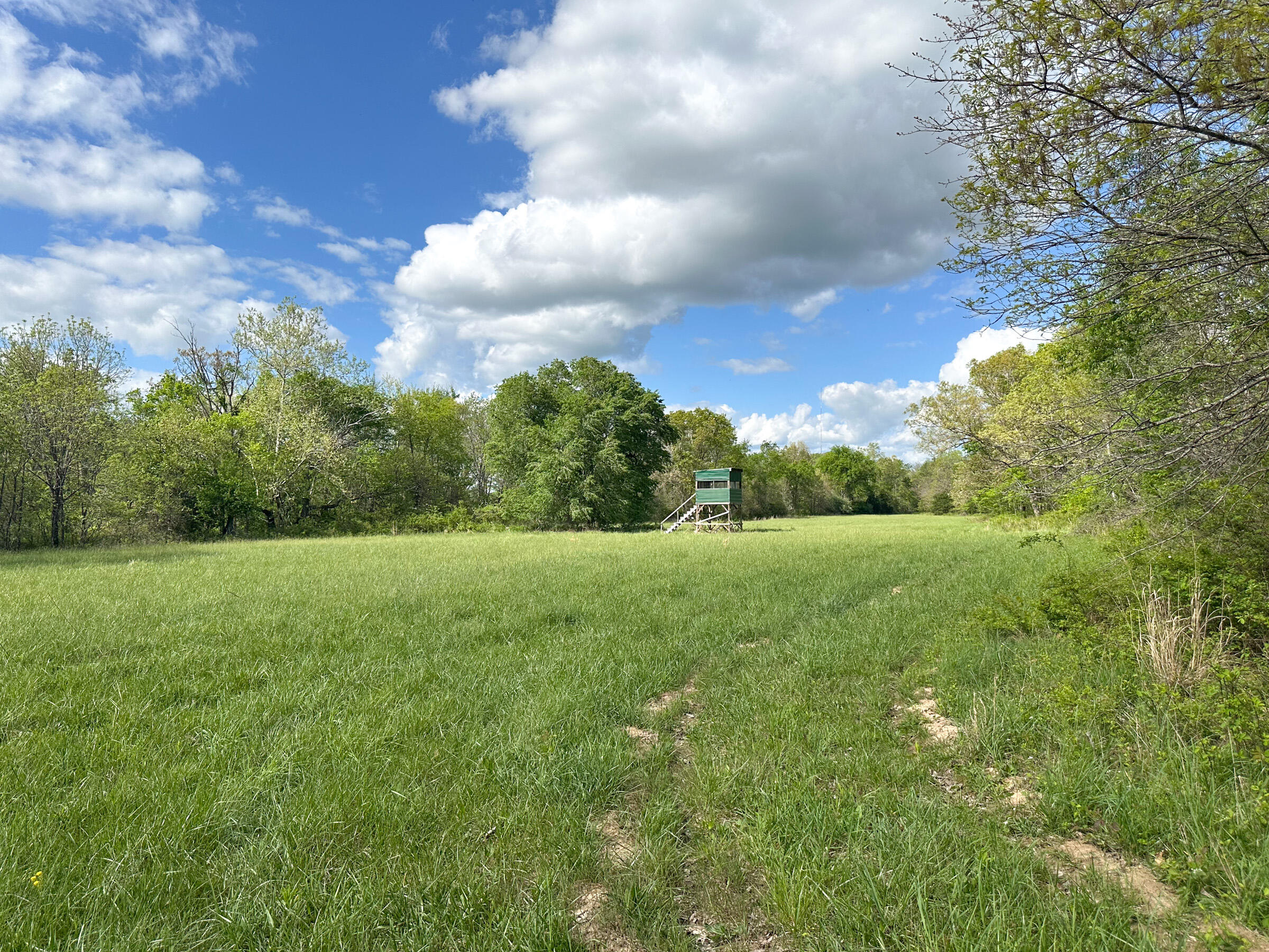 4420 State Route Dd Property Photo 16