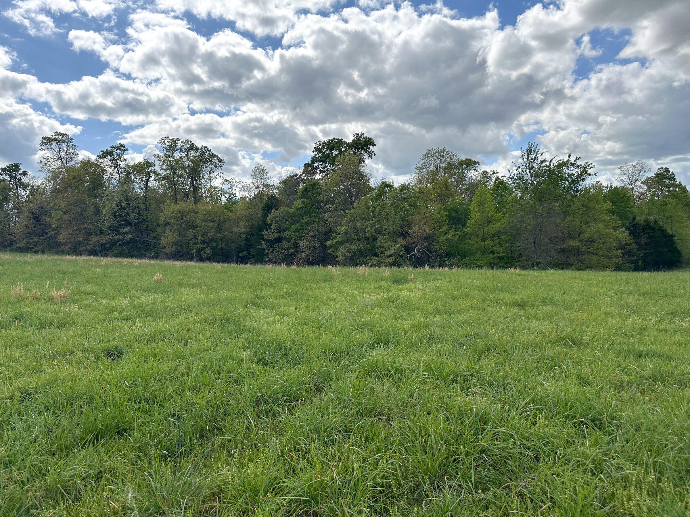 4420 State Route Dd Property Photo 24