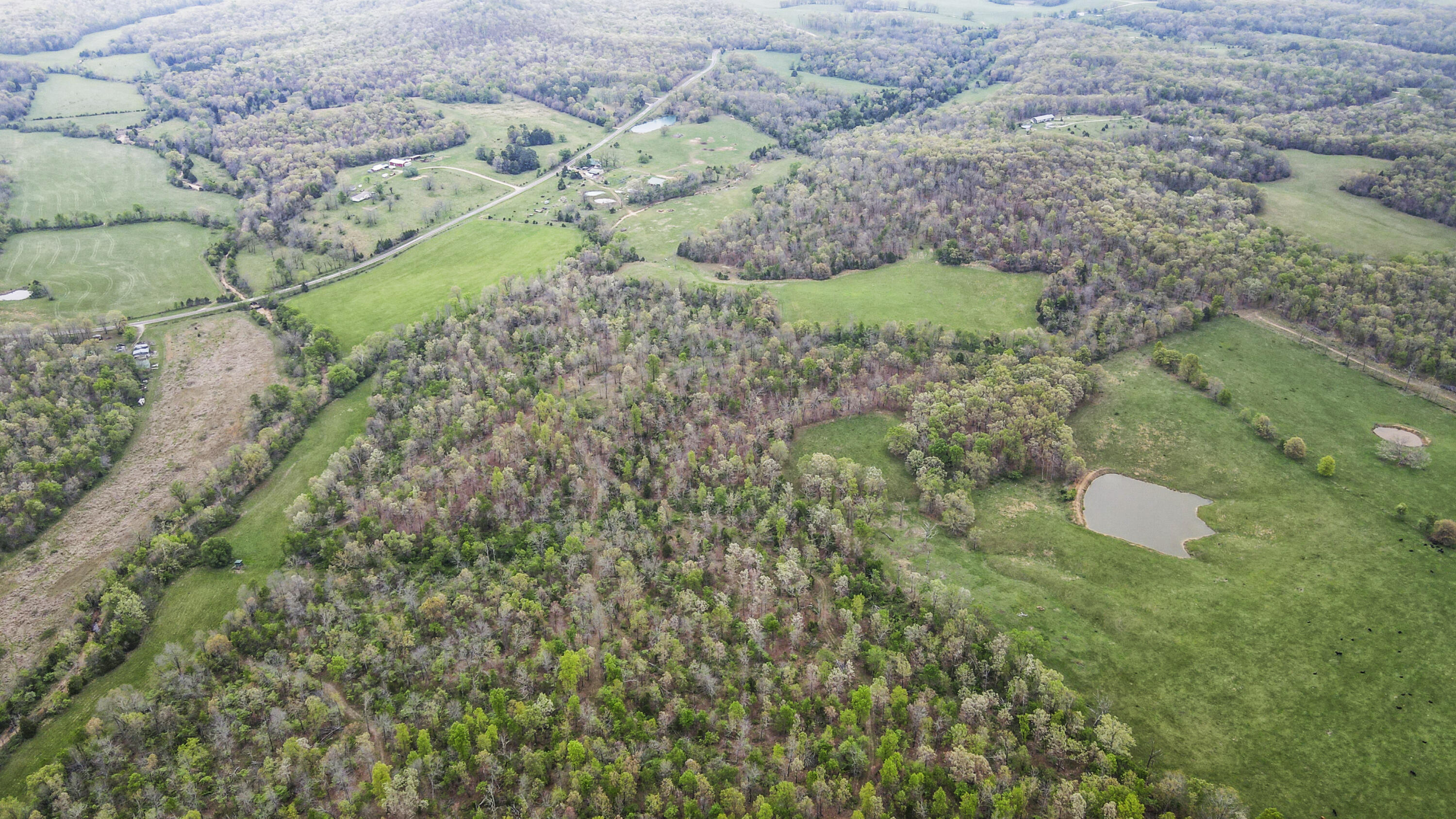 4420 State Route Dd Property Photo 25