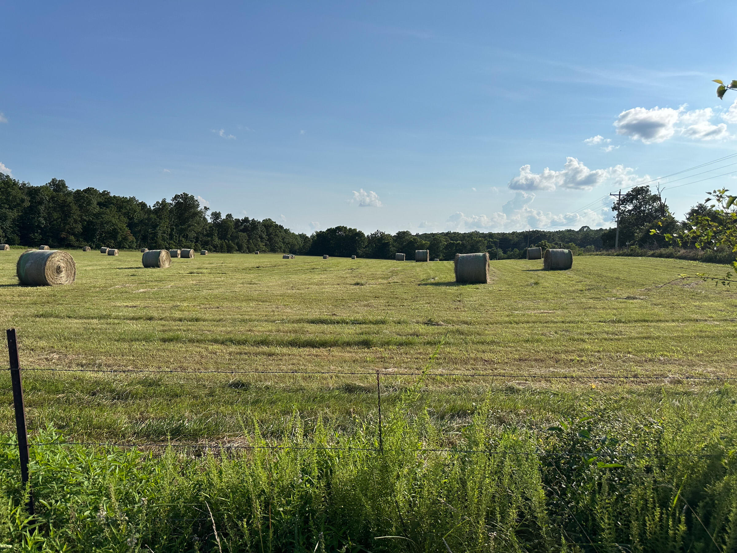 4420 State Route Dd Property Photo 53