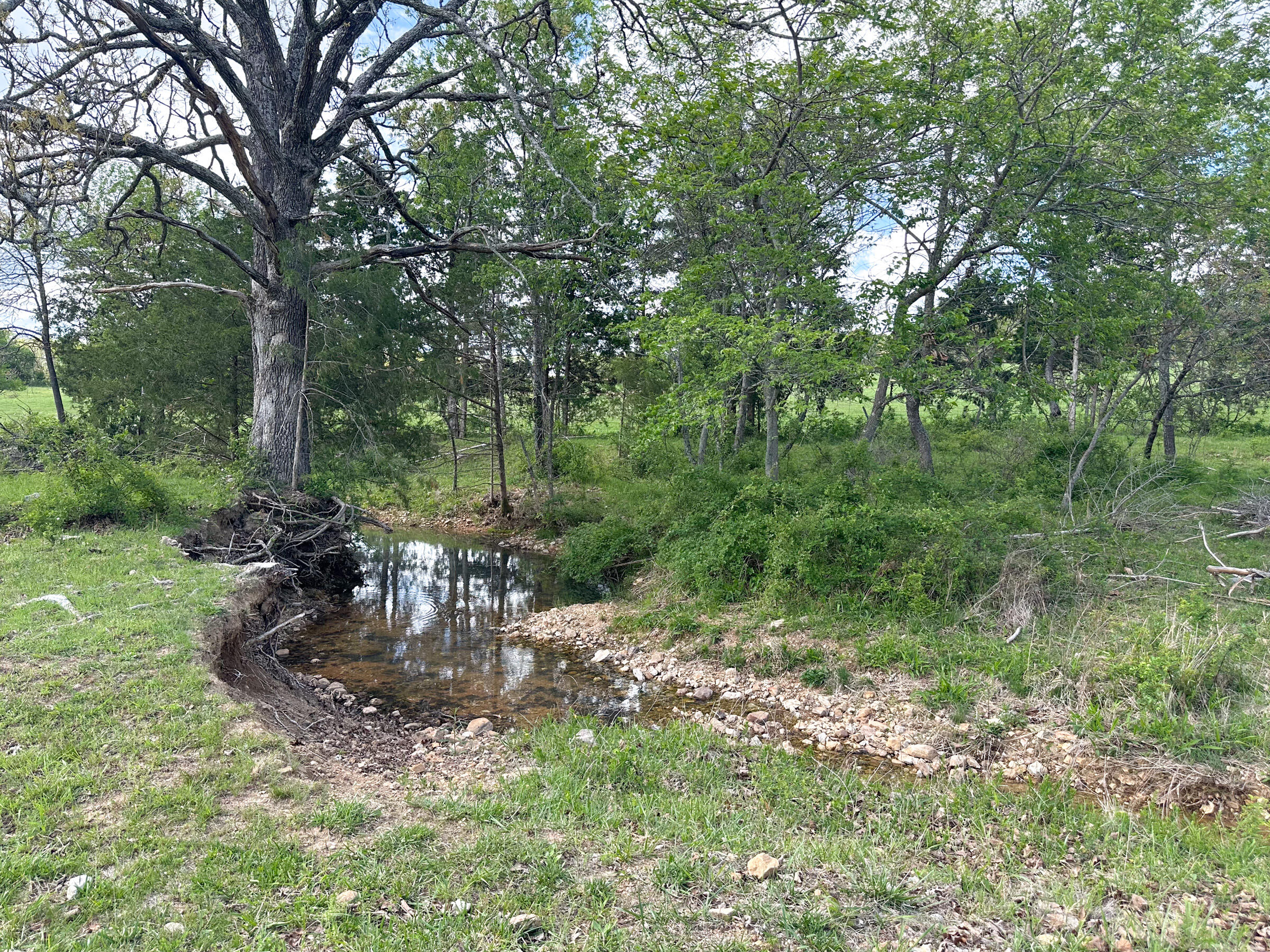 4420 State Route Dd Property Photo 54