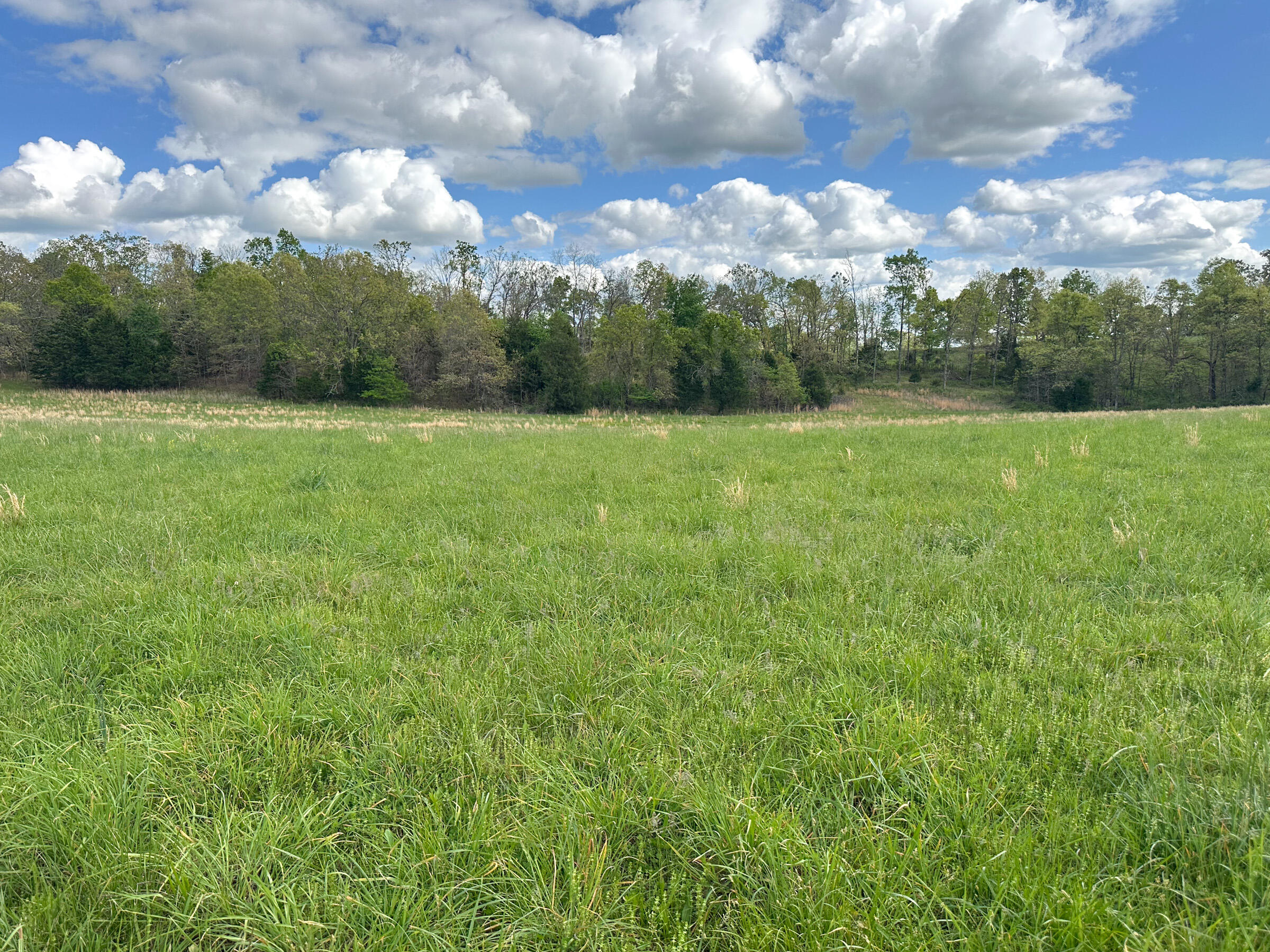 4420 State Route Dd Property Photo 55